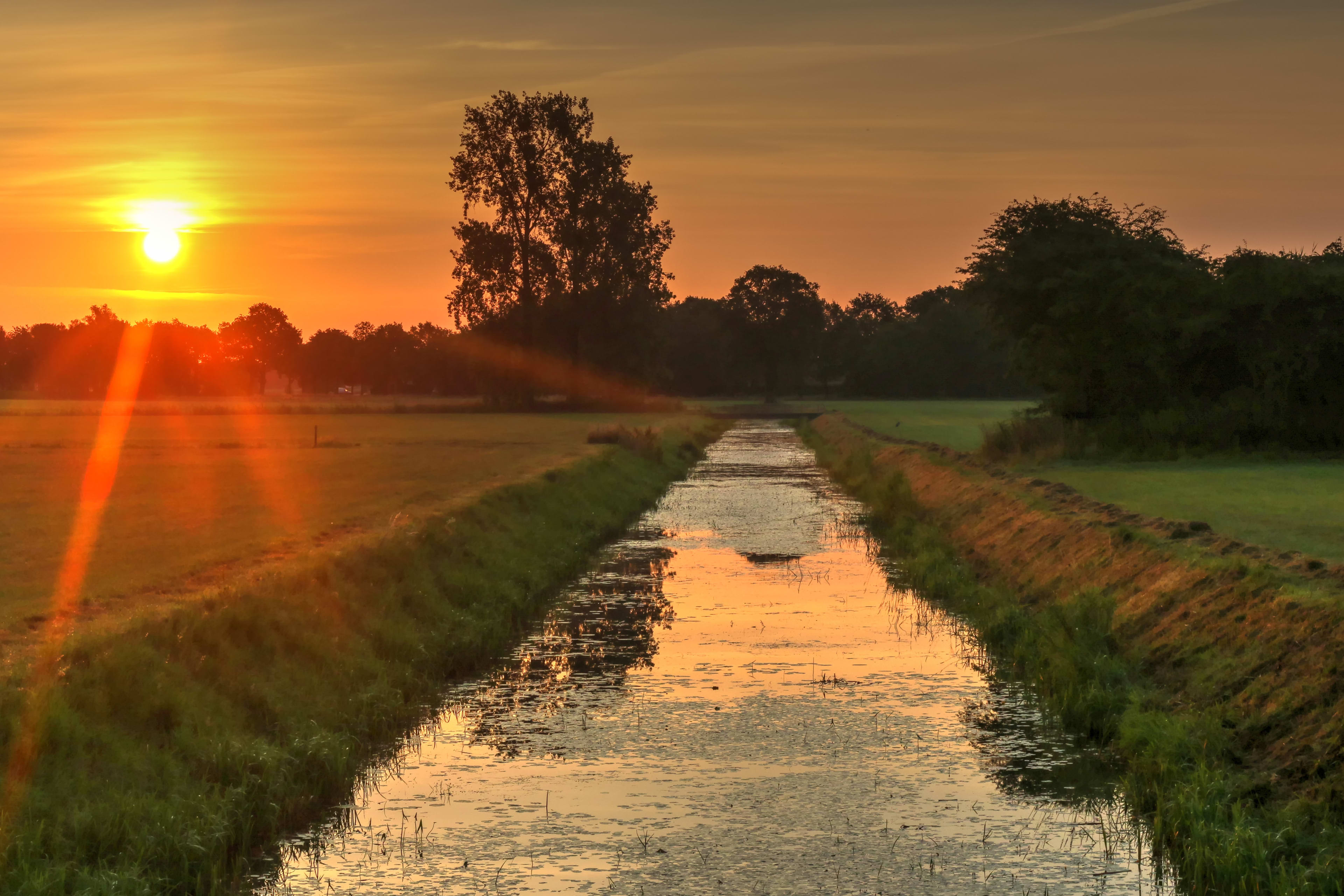 Temperaturen vandaag alweer tropisch, opnieuw plaknacht voor de boeg