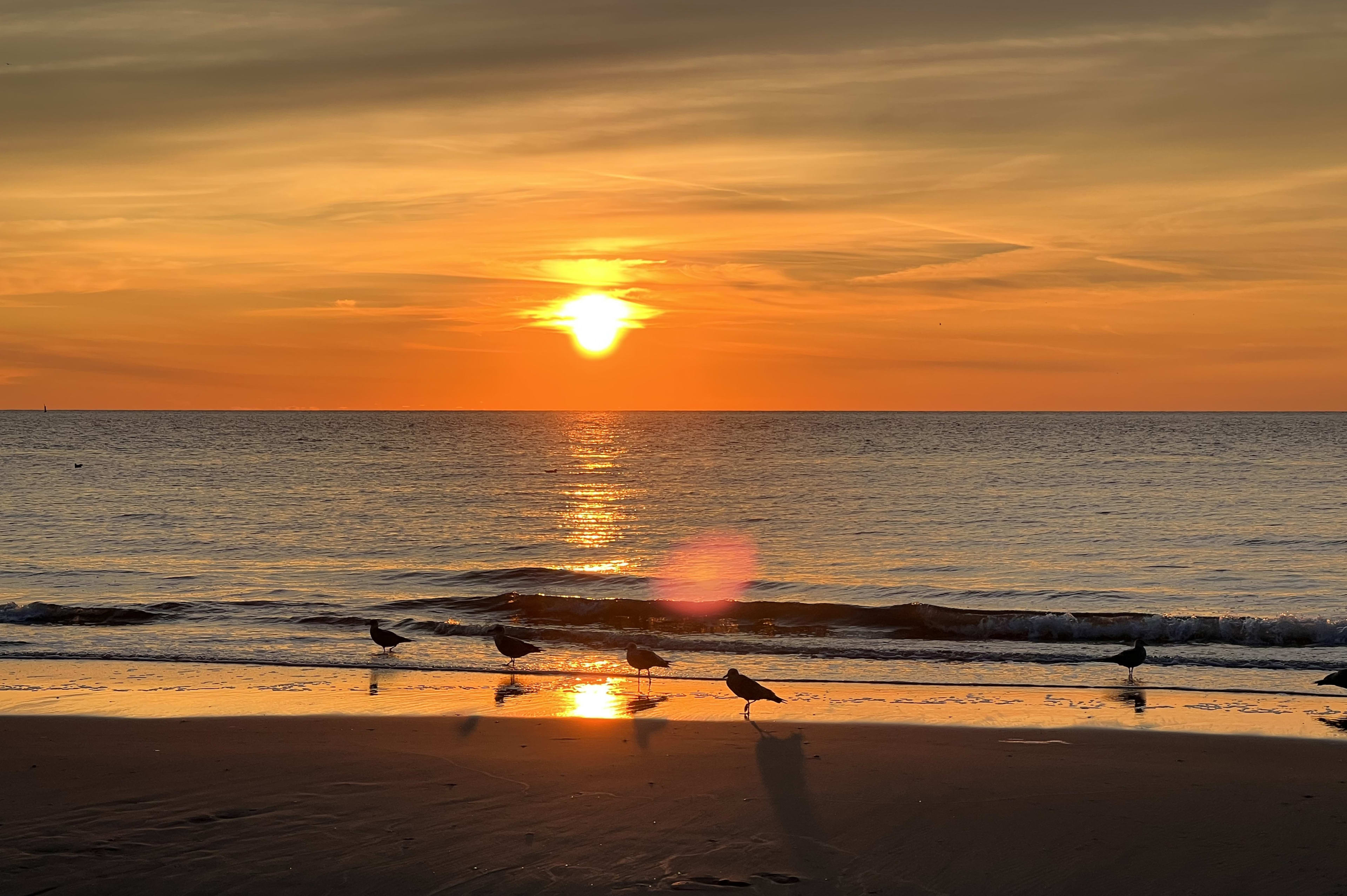 Prachtige oranje zonsondergang verwacht tijdens EK-kraker tegen Frankrijk