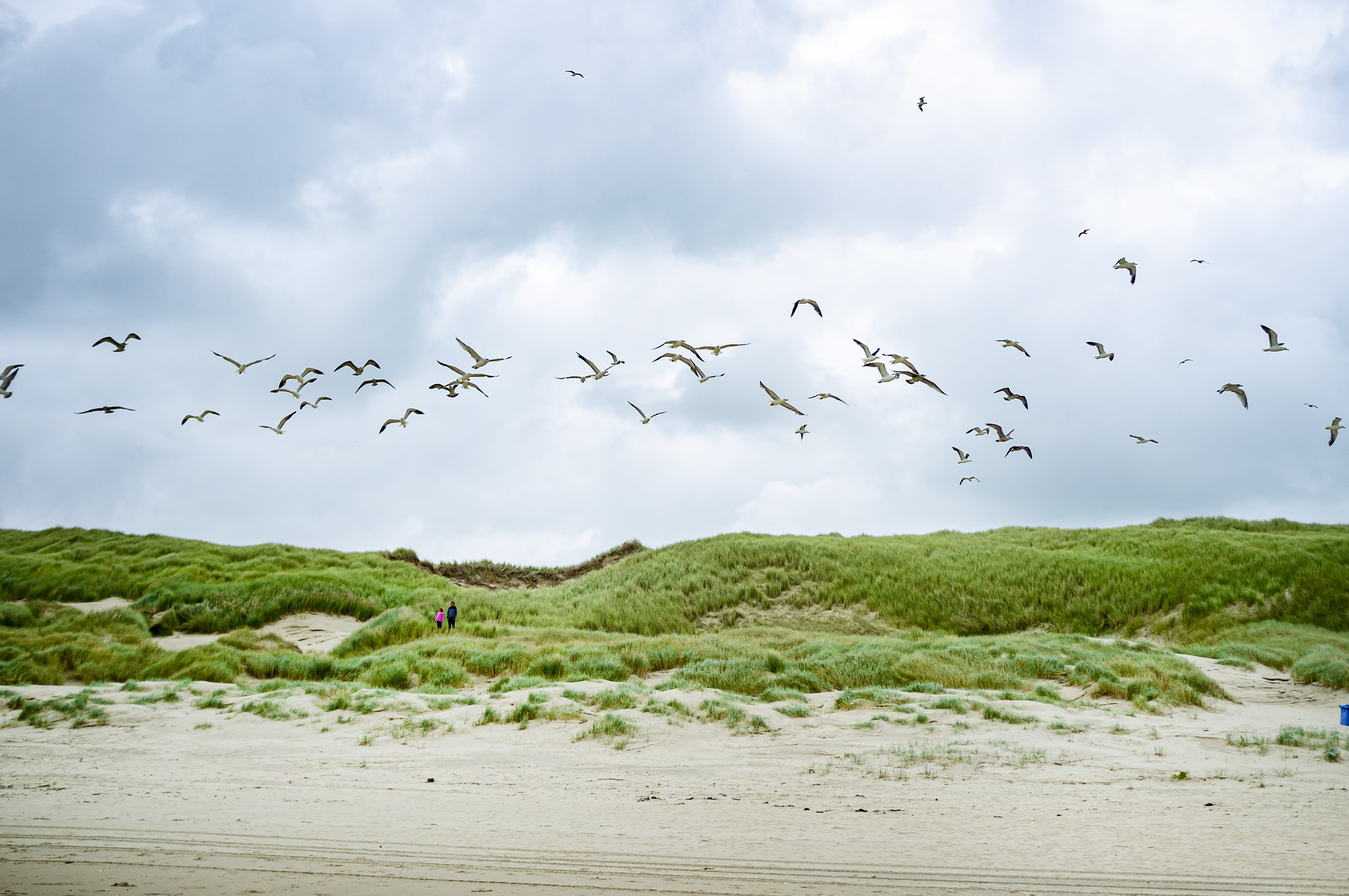 Dode man gevonden in duinen bij Egmond, politie gaat uit van misdrijf