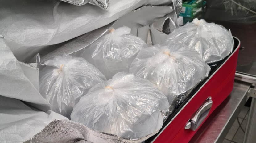 Glibberige vondst: 300.000 babypalingen in koffers onderschept op Schiphol
