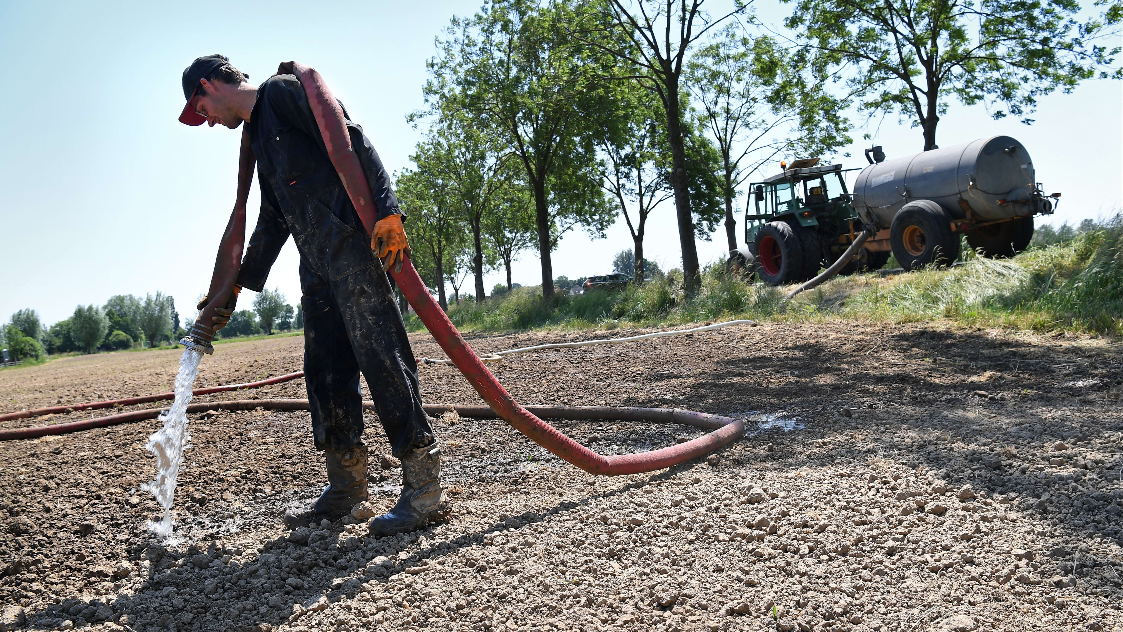 'Hitte zorgt voor nóg hogere boodschappenprijzen: deze producten worden duurder'