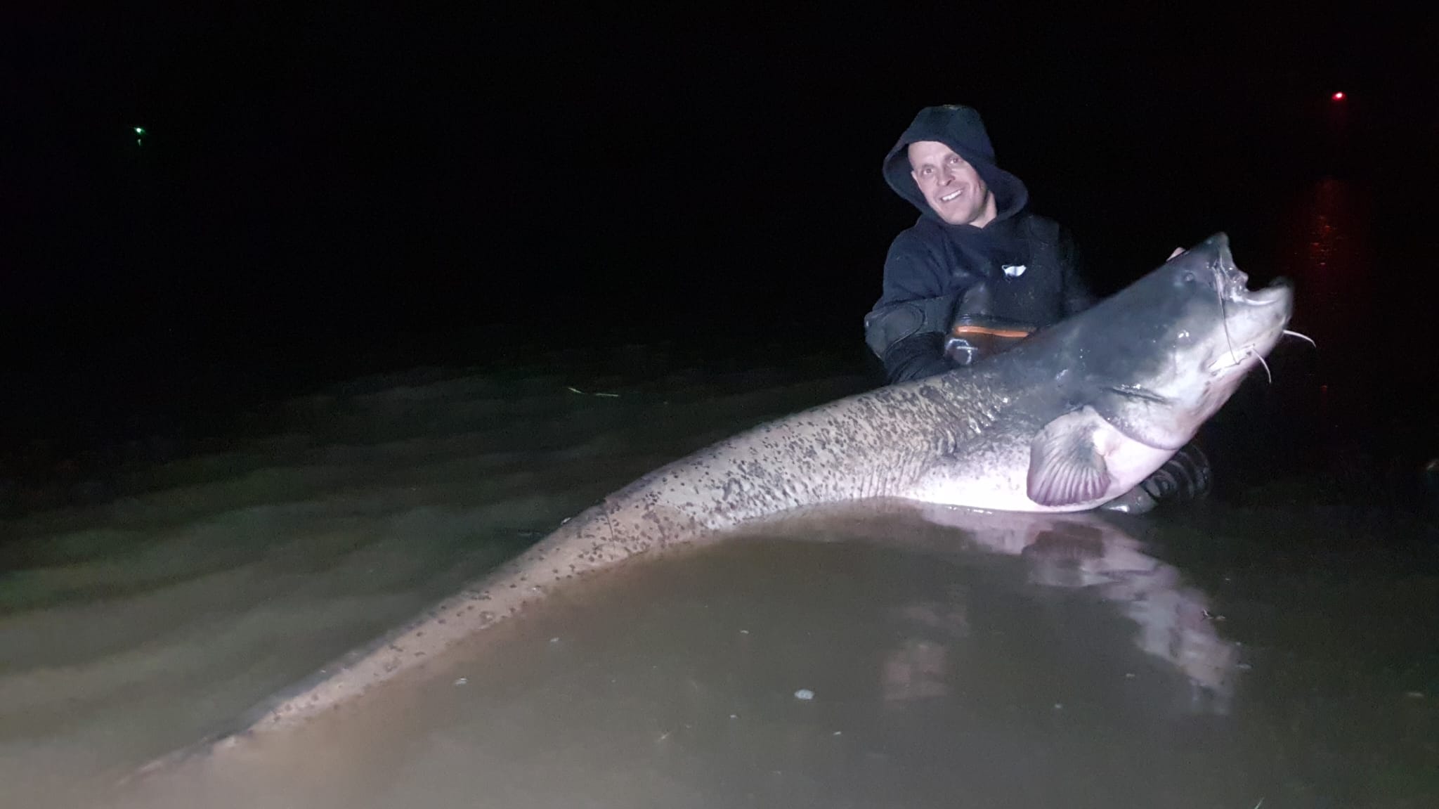 Een enorme meerval van 2,43 meter lang? Paul heeft hem gevangen, en verbreekt daarmee record