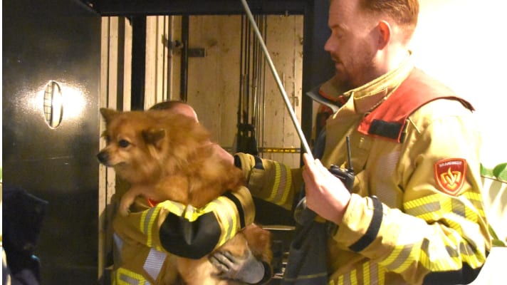 Bijzondere redding in Soest nadat hondje Tijs vast komt te zitten in lift
