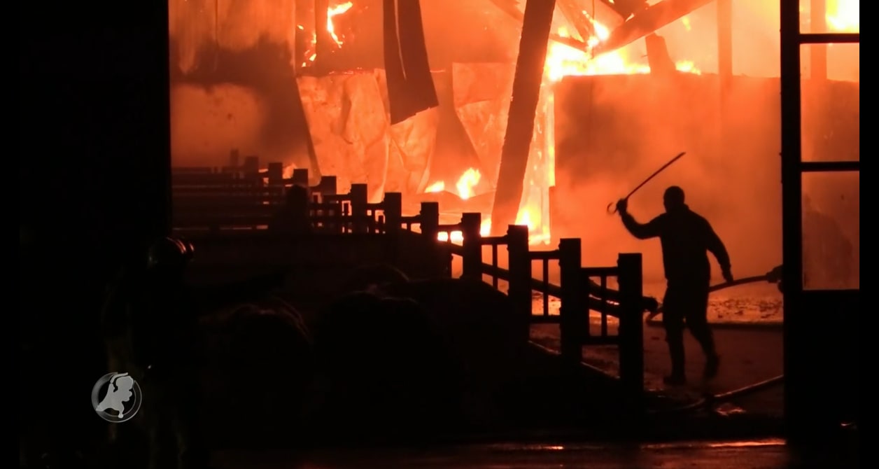 Moment van de waarheid voor Werkhovense boer Gert: stak hij zijn boerderij zélf zeven keer in brand?  