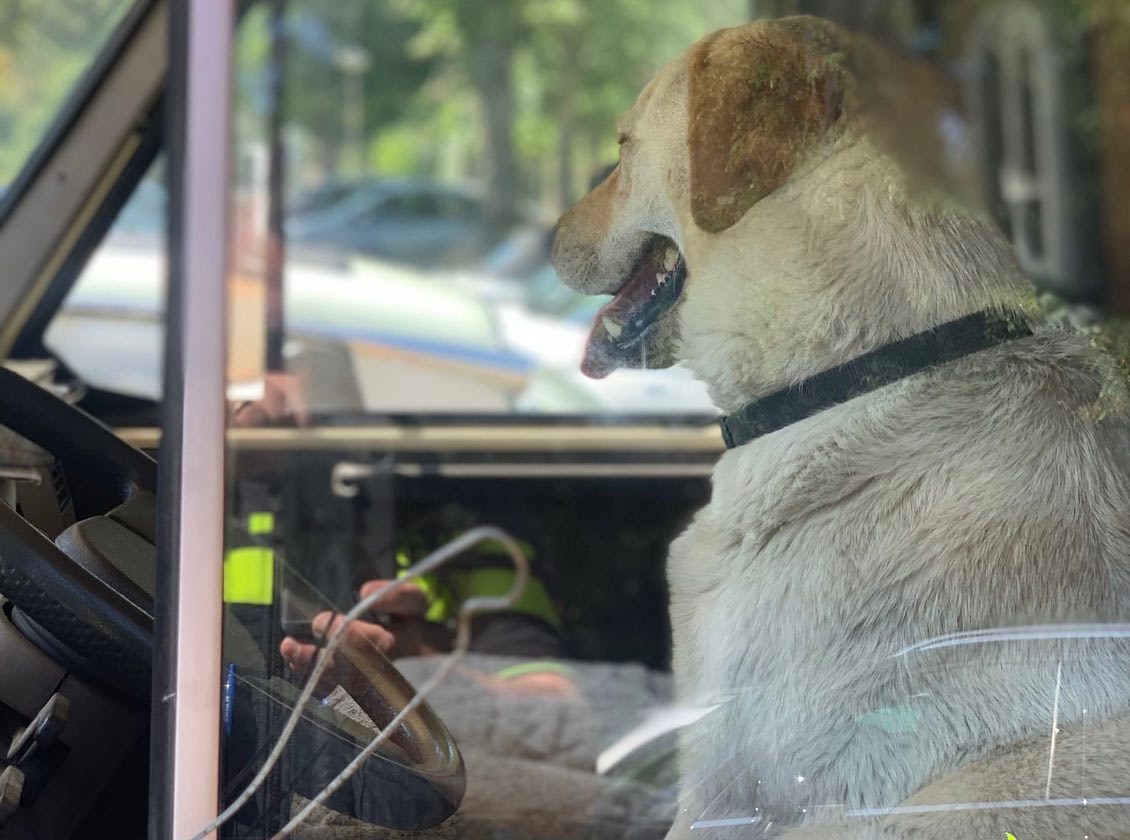 Hond achtergelaten in snikhete camper, politie woedend