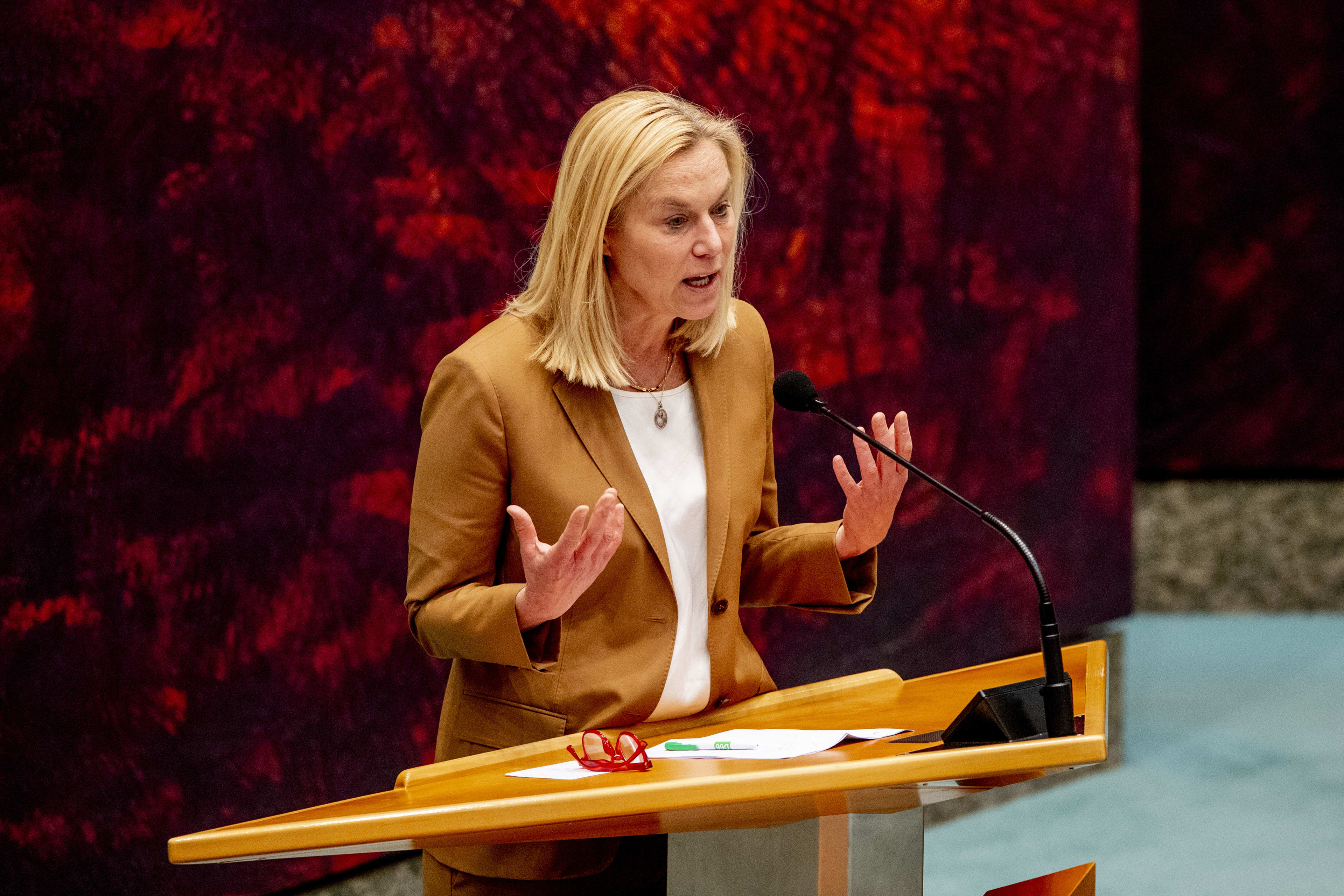 D66-leider Sigrid Kaag wil nieuwe verkenner met 'afstand tot de politiek'