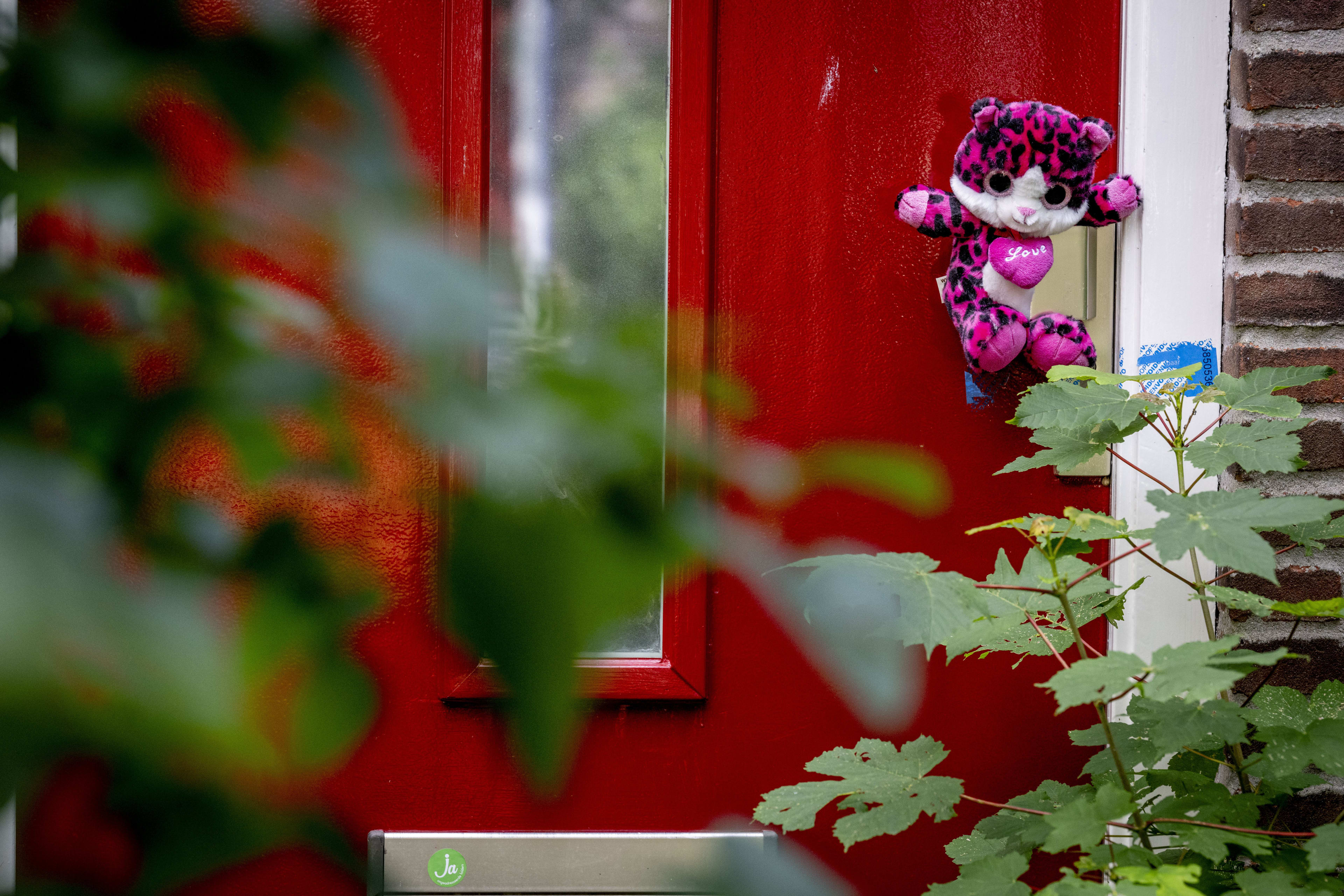 Jeugdzorg is 'geraakt' door zwaargewond Vlaardings meisje (10)