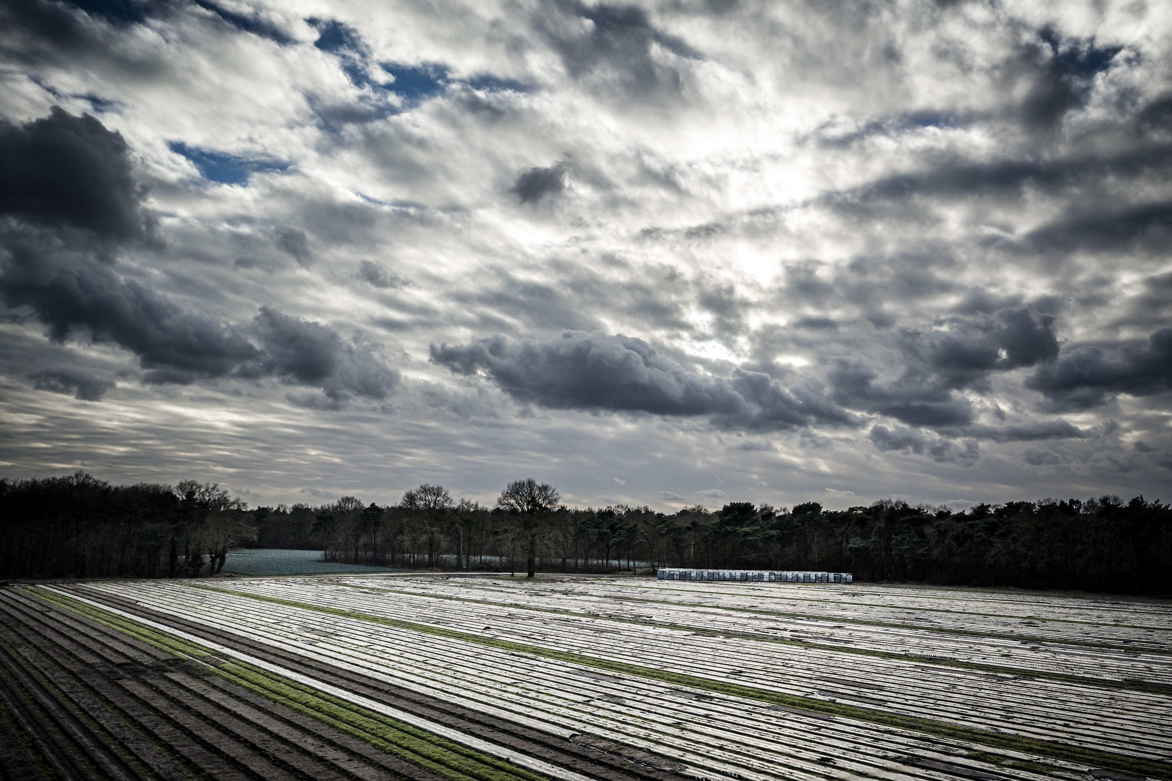 Nat en wisselvallig weer, dit weekend fors hogere temperaturen