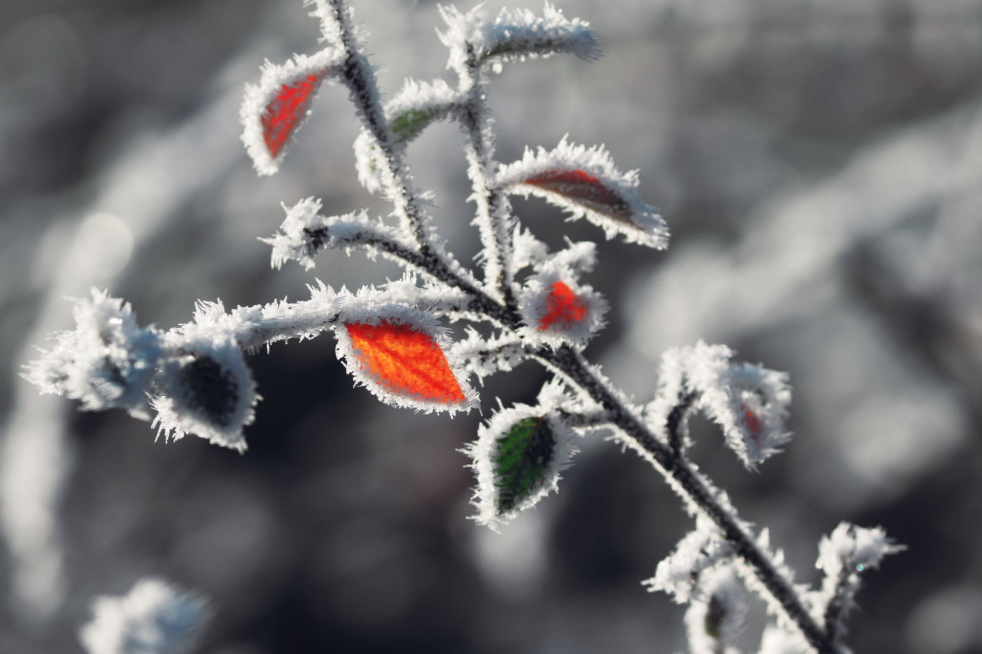 Het was vannacht -15 graden: de koudste nacht sinds 2013