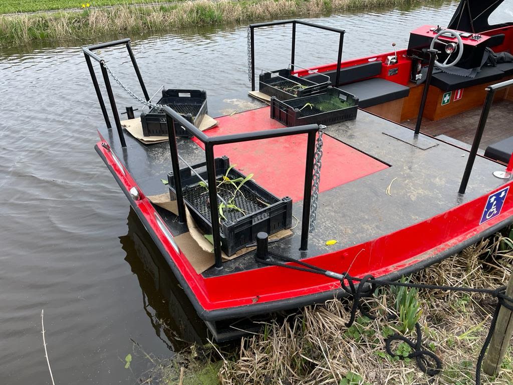 Bloemenboot in Noordwijk is nu gewoon 'Boot': alle tulpen gestolen door toeristen
