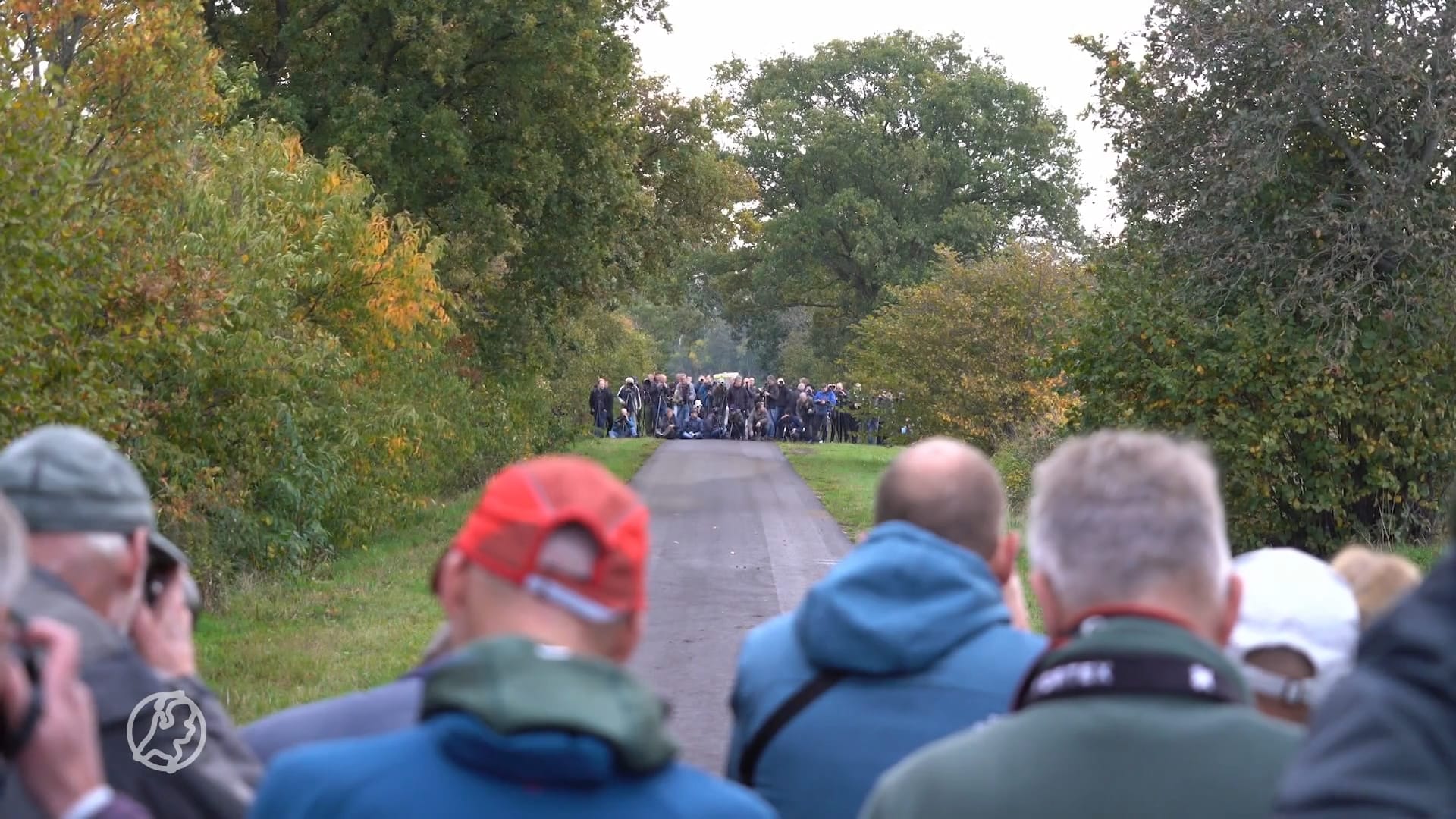 Vogelspotters komen van heinde en verre voor de zeldzame geelbrauwgors