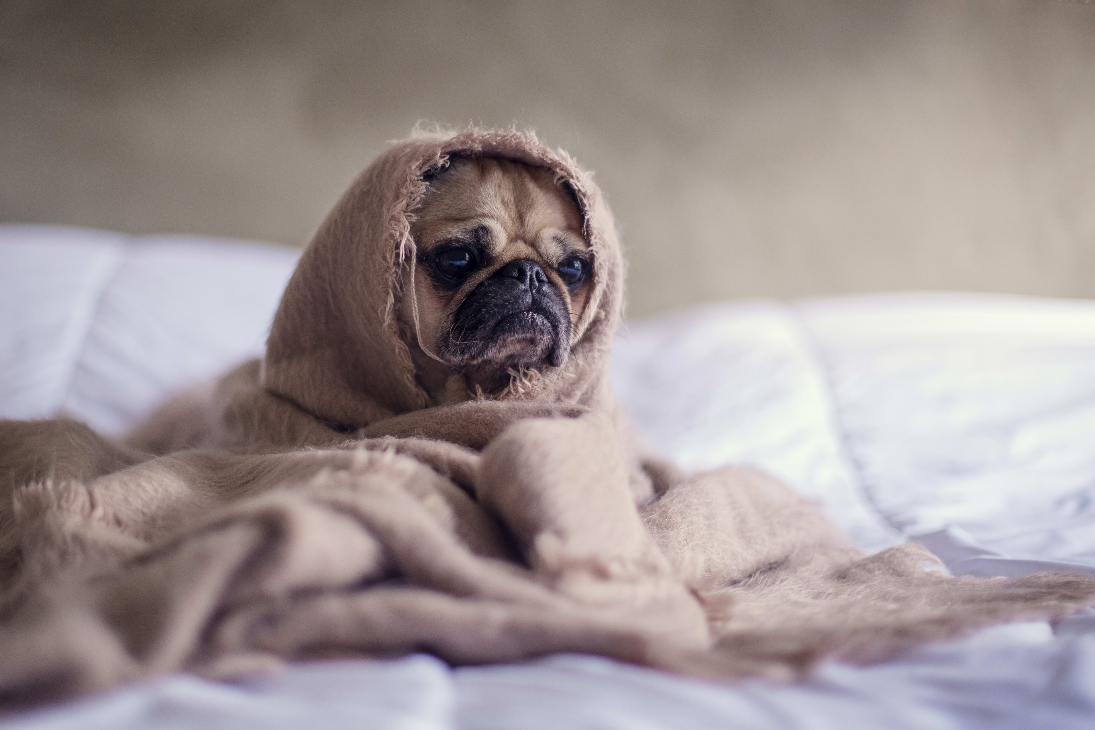 Blue Monday komt eraan: alles wat je moet weten over je winterdip