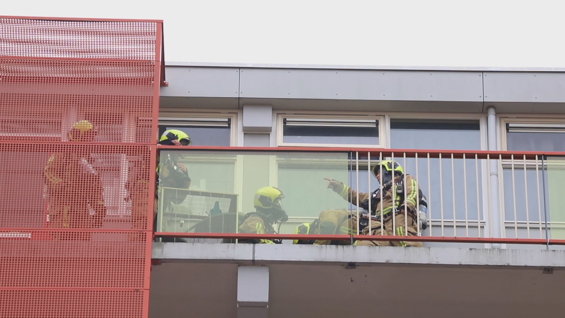 Twee katten omgekomen bij woningbrand in Delft