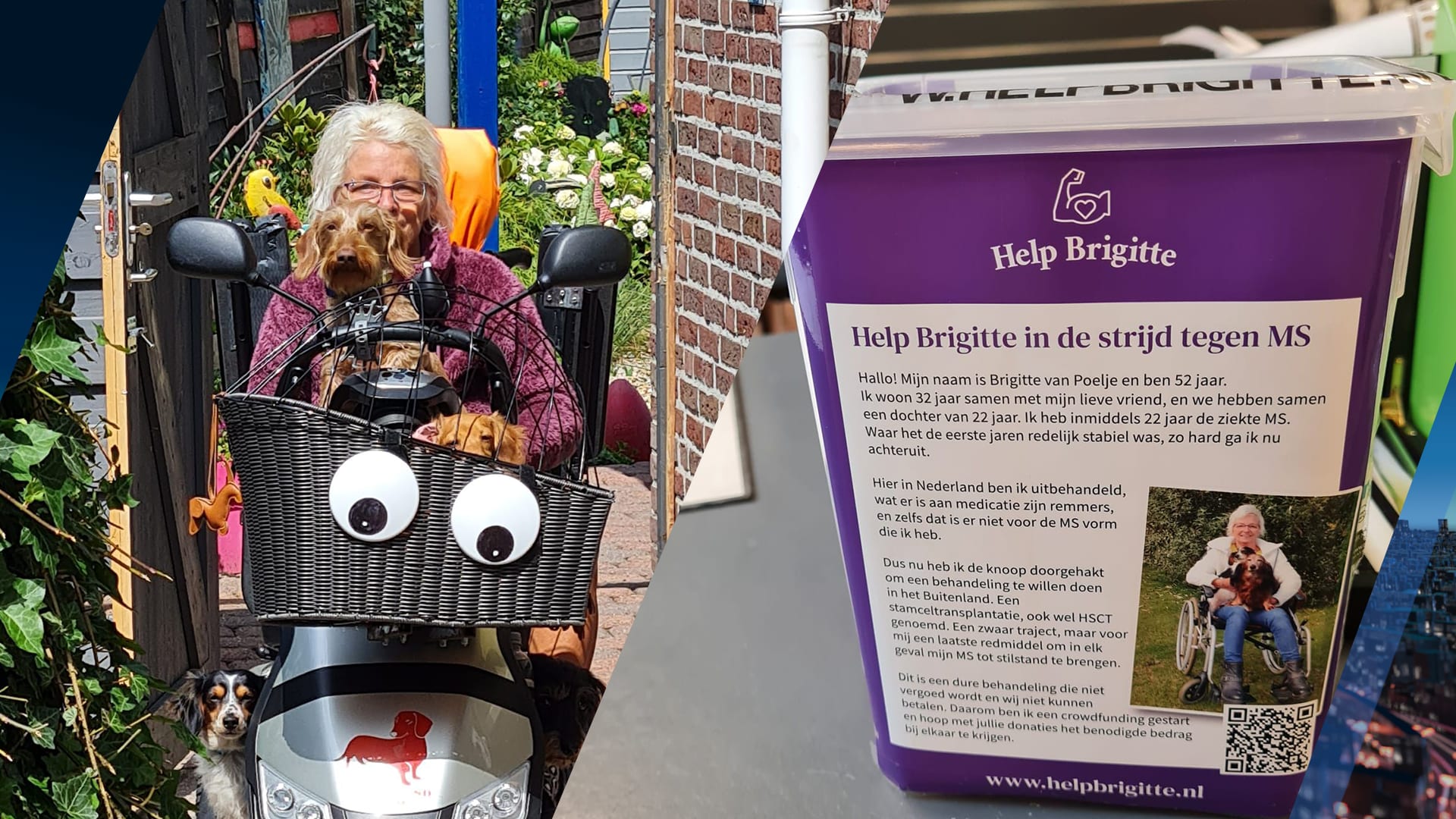 Inbrekers stelen enige hoop voor MS-behandeling Brigitte: 'Heel triest'