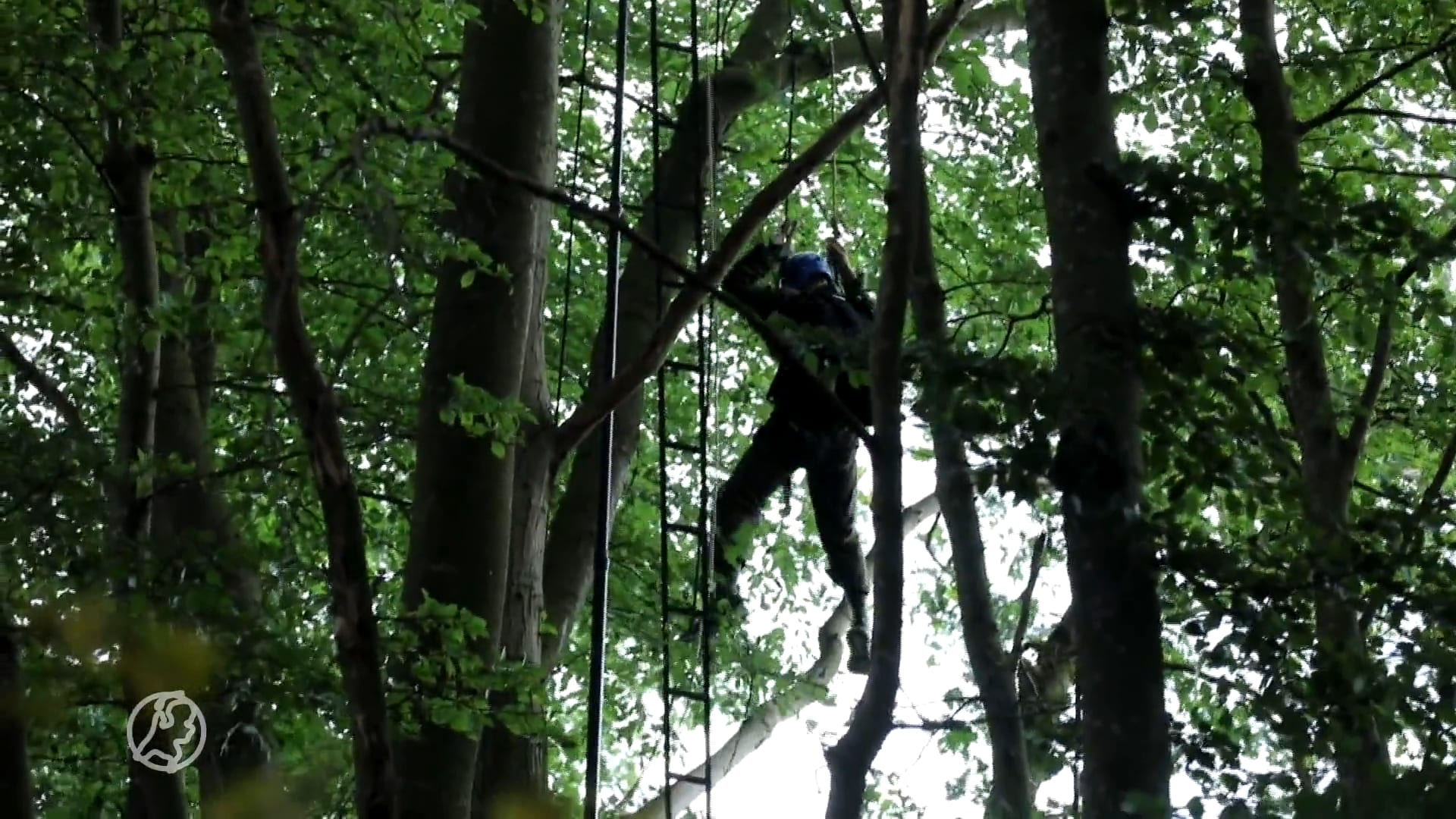 Parachutist hangt twee uur lang in boom na mislukte landing