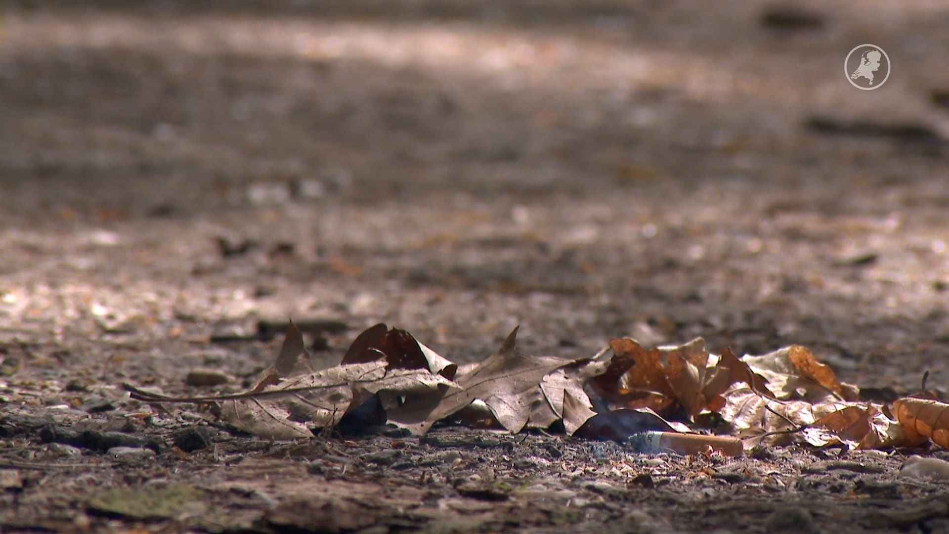 Nieuwe campagne moet natuurbranden door burgers voorkomen