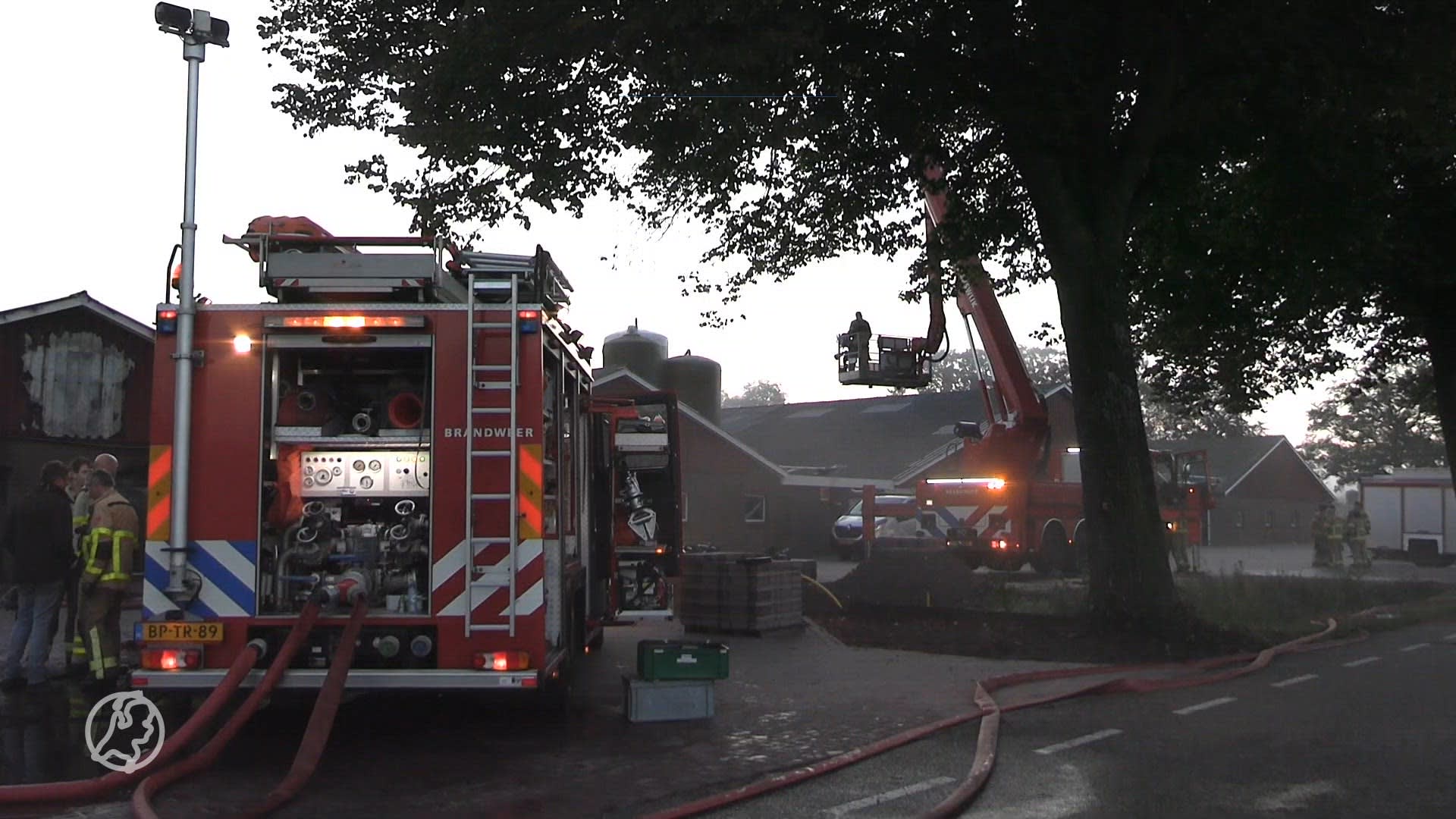 Zeker 700 biggen omgekomen bij grote brand in dierenschuur Beltrum