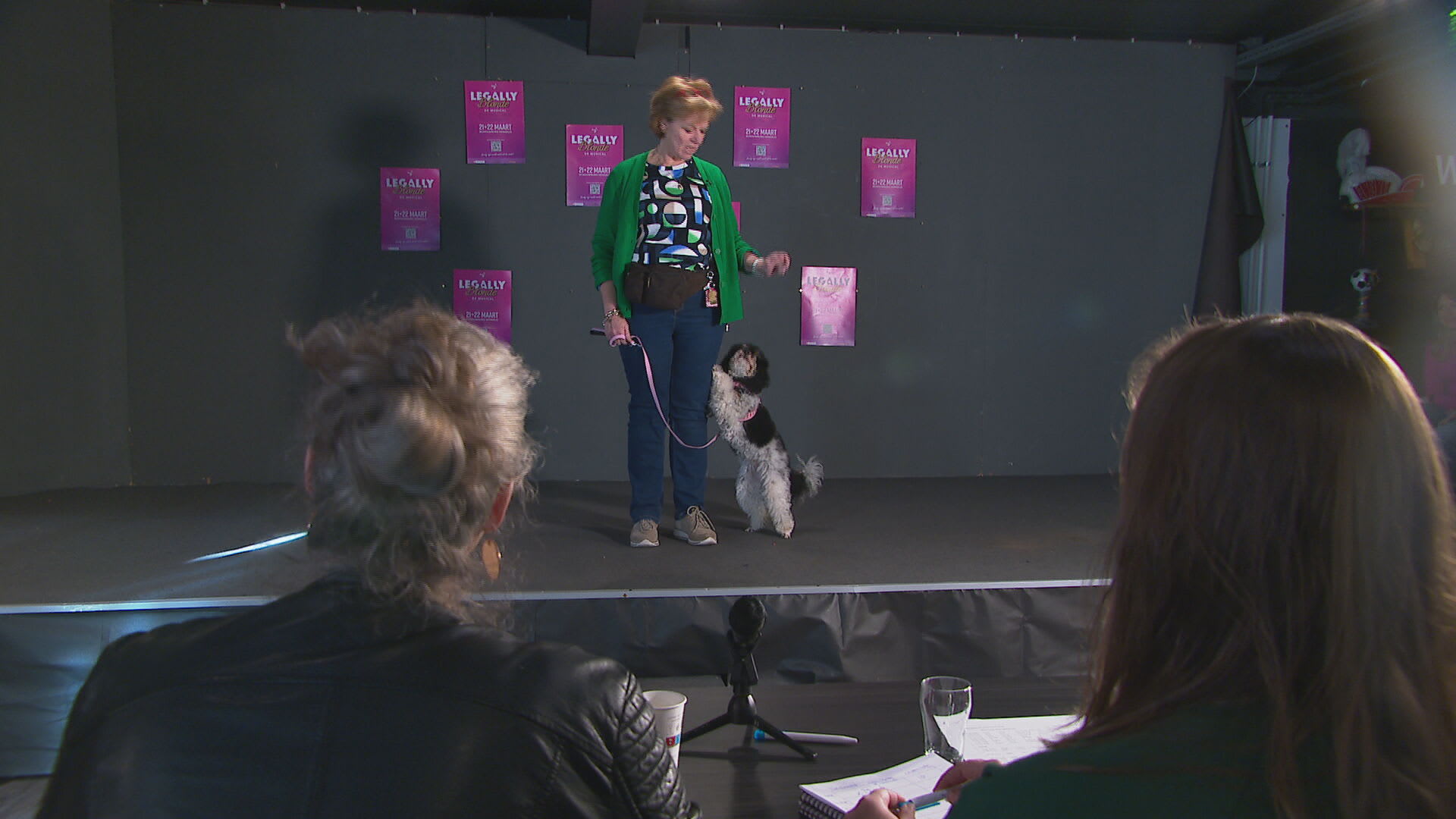 Honden doen auditie voor glansrollen in musical Legally Blonde