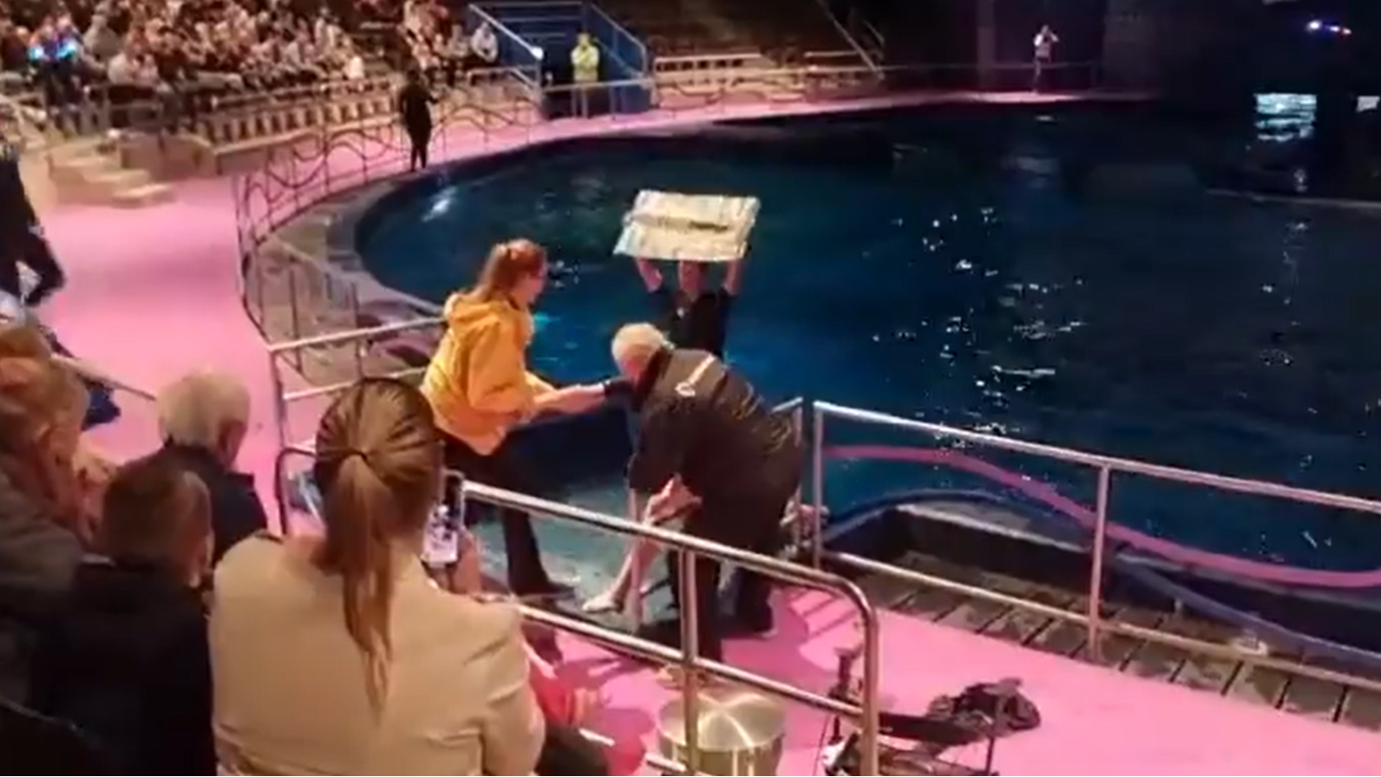 Dierenactivisten in water Dolfinarium tijdens dolfijnenshow