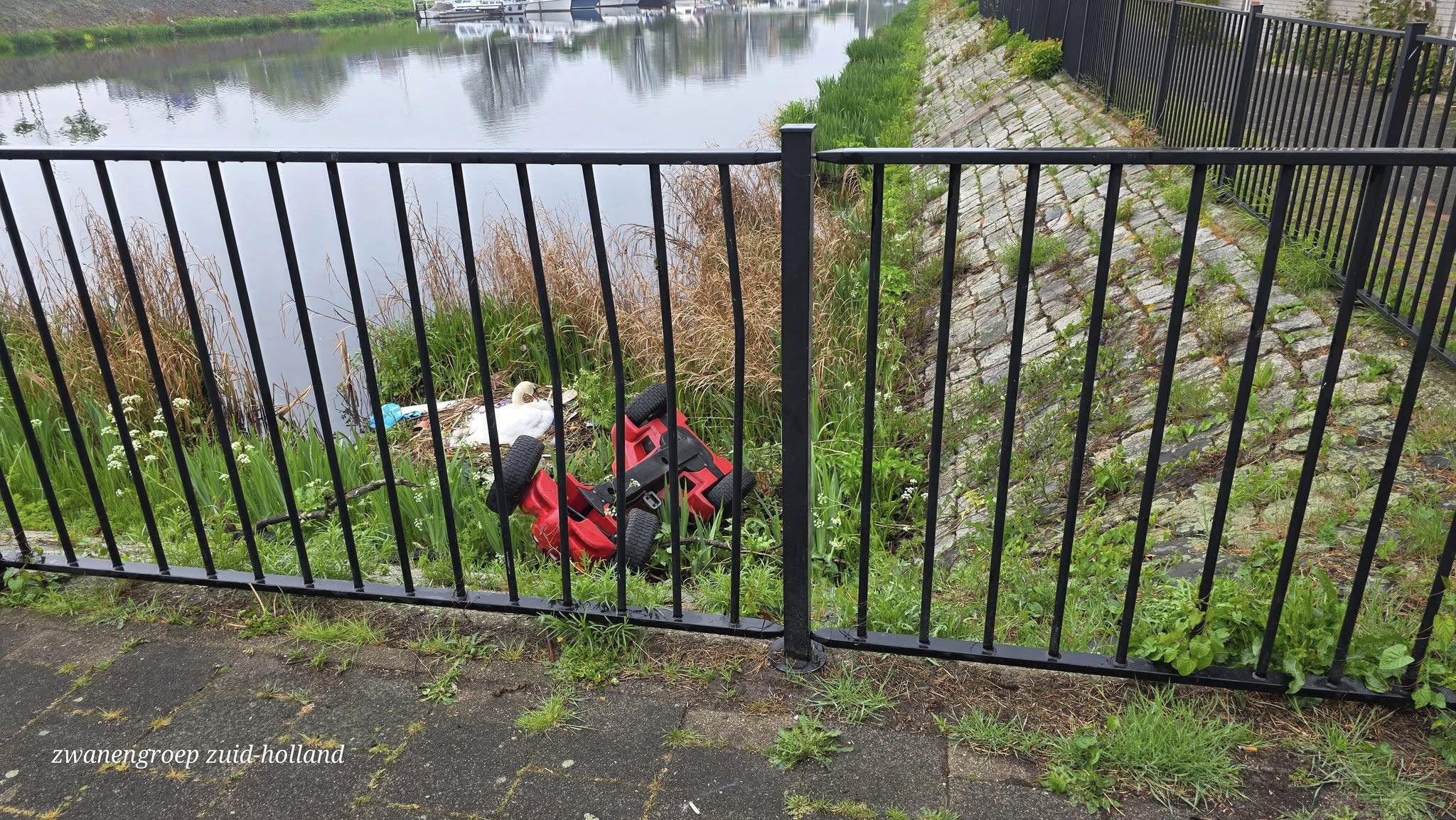 'Zware elektrische skelter naar broedende zwaan gegooid in Rotterdam'