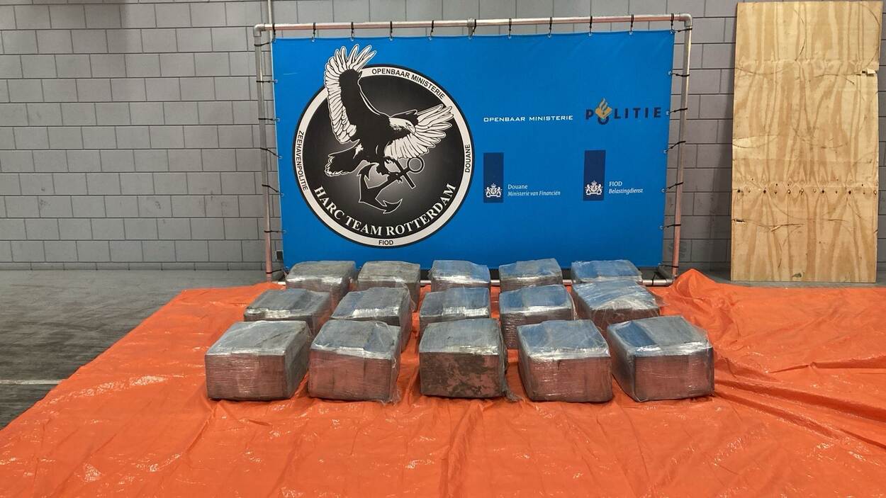 600 kilo cocaïne ontdekt tussen bananen in haven Rotterdam