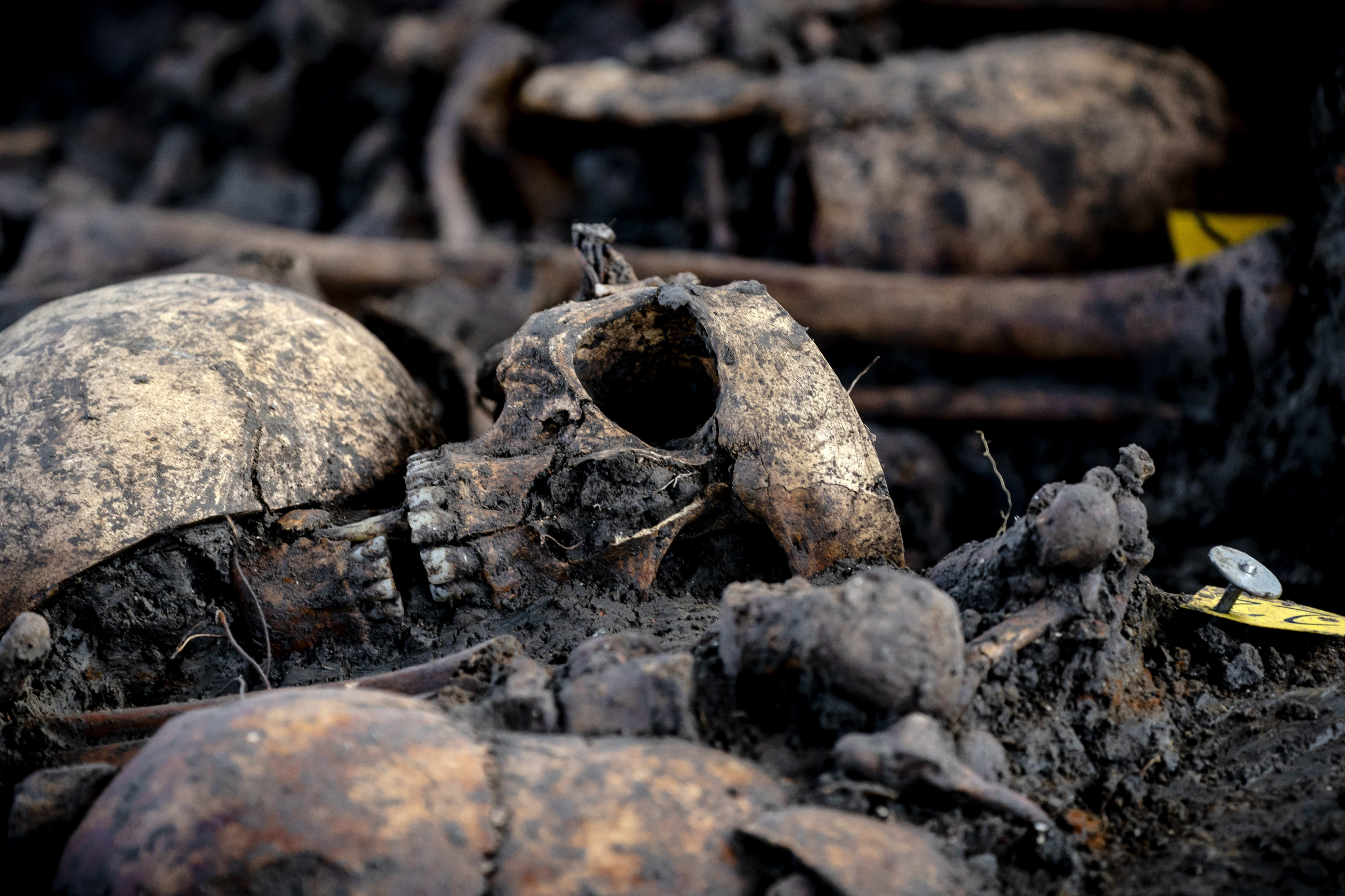 Zeldzame archeologische ontdekking in Groningen: tientallen skeletten uit 15e eeuw gevonden