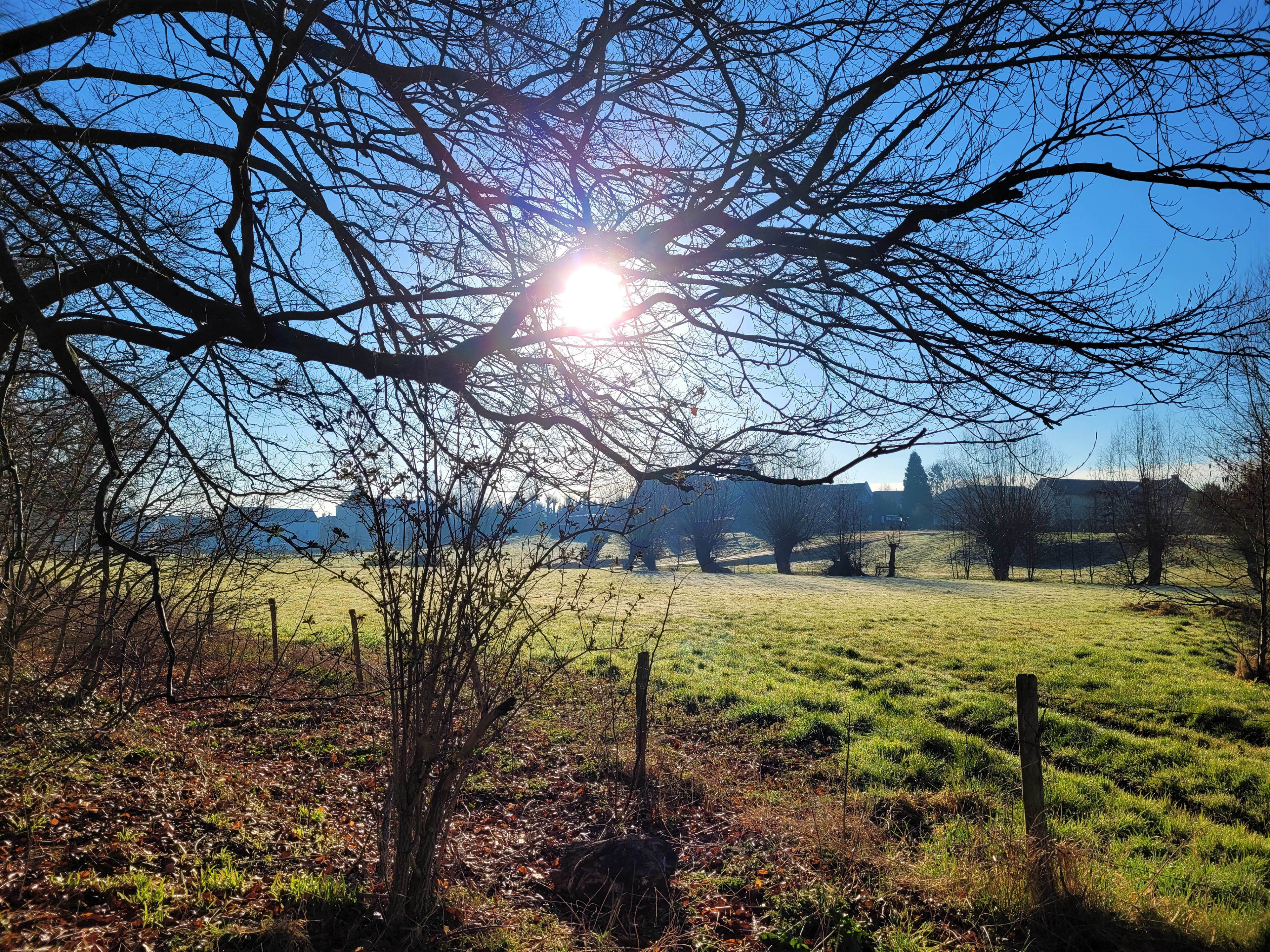 Droog en zonnig lenteweer in aantocht