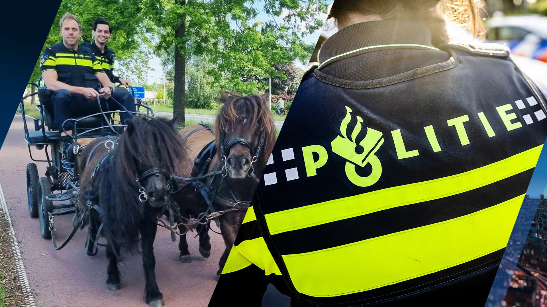 Politieagenten vangen losgebroken paarden in spannende achtervolging