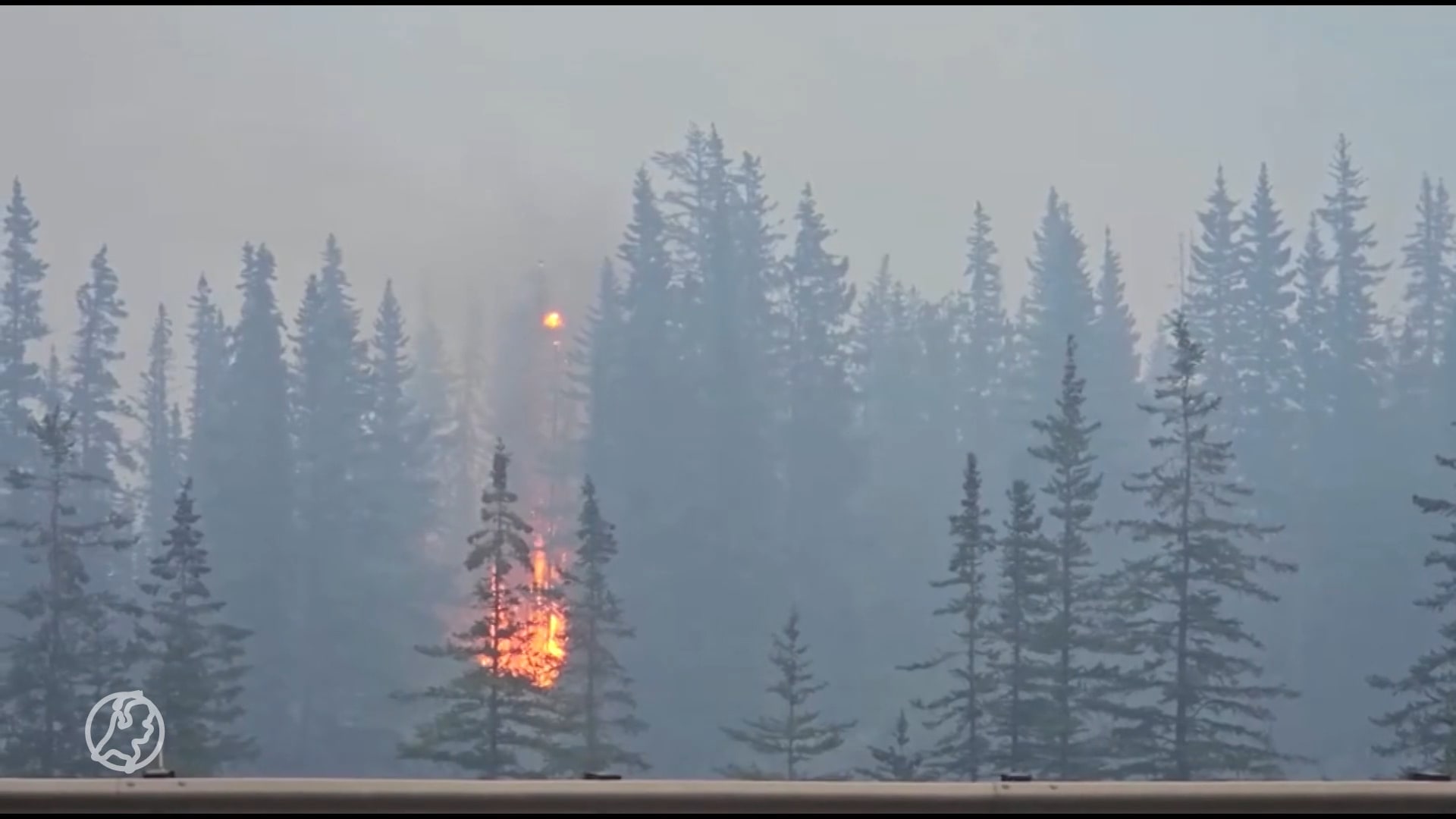 Nederlanders moeten weg uit nationaal park Canada om branden