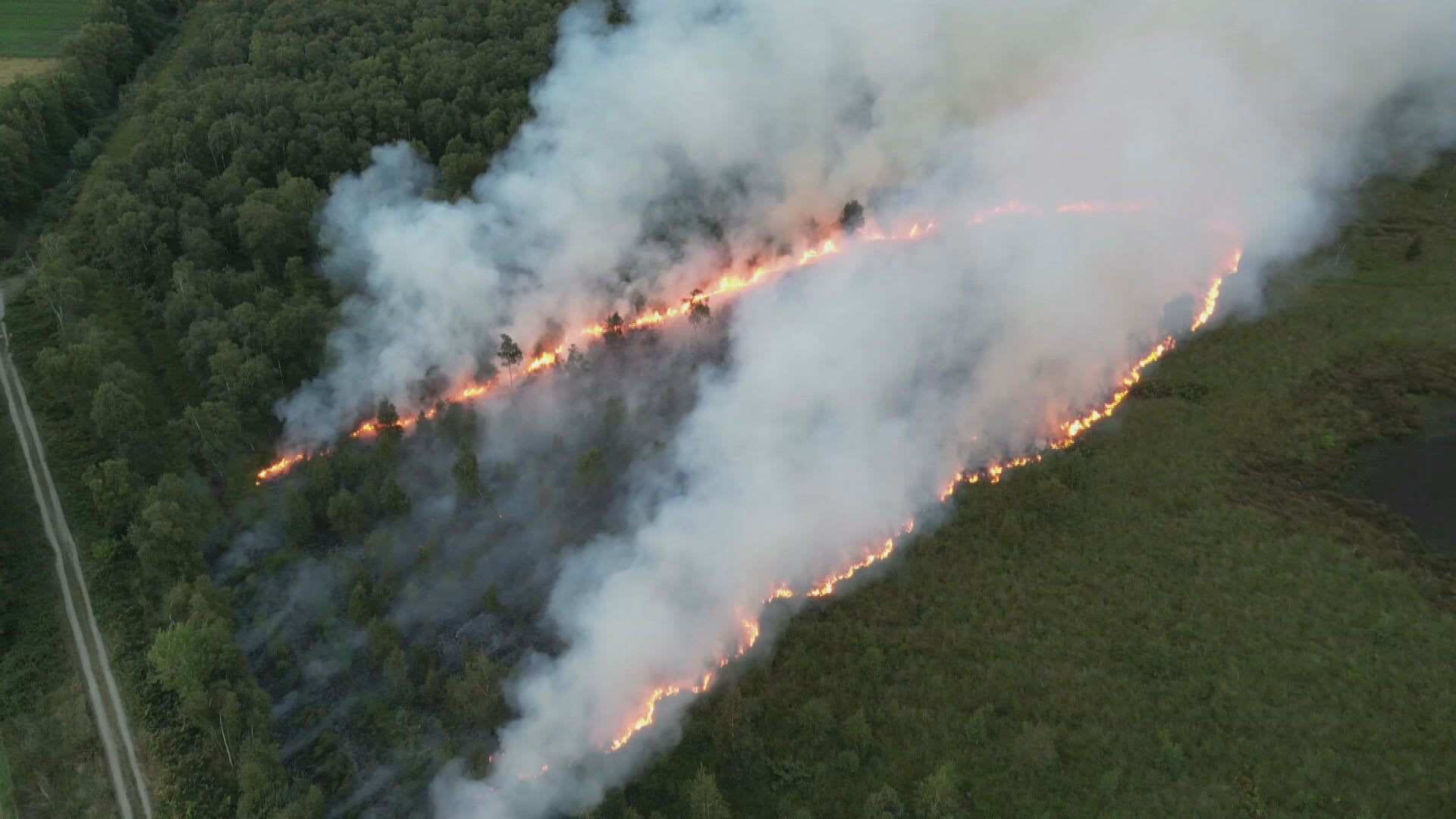 Grote natuurbrand in De Peel, dringend advies voor omwonenden om huis te verlaten