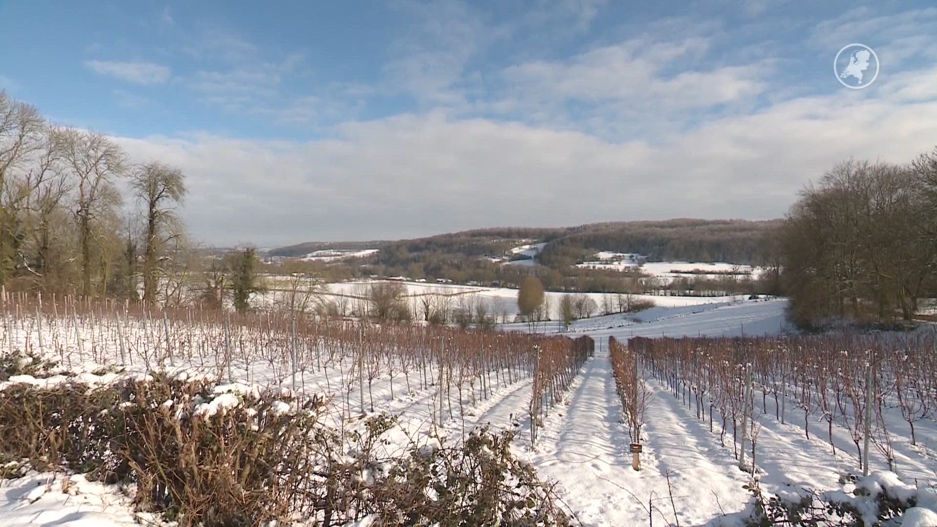 Winterse landschappen in Limburg mooi cadeautje voor toeristen