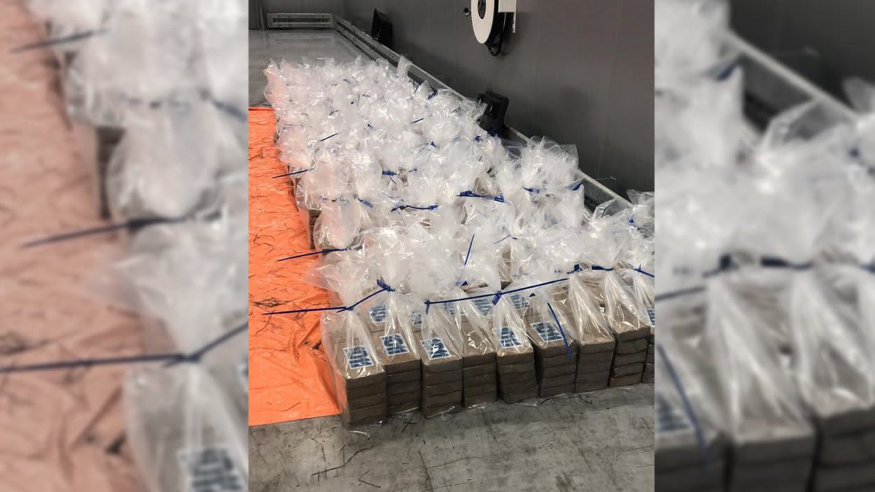 Douane onderschept 78 miljoen euro aan cocaïne in Rotterdamse haven