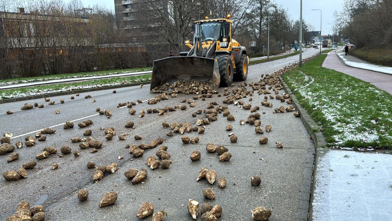 Weg in Maastricht bezaaid met bieten nadat vrachtwagen lading verliest