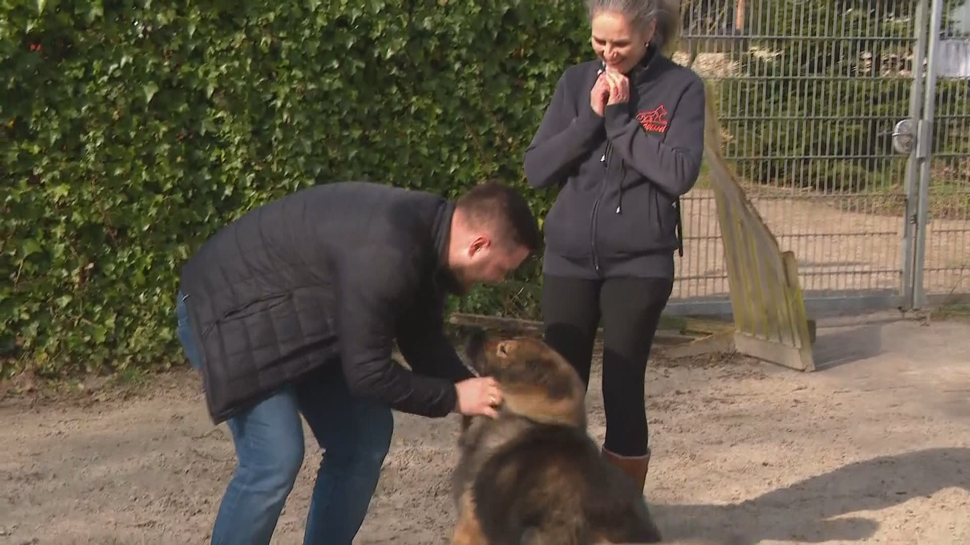 Bijzonder moment: baasje Björn ziet vermiste hond Loki na zes jaar weer terug