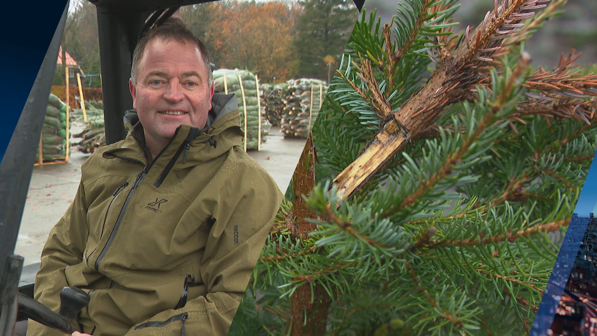 Gerrit kan weer lachen: vernielde kerstbomen ondanks schade goed verkocht