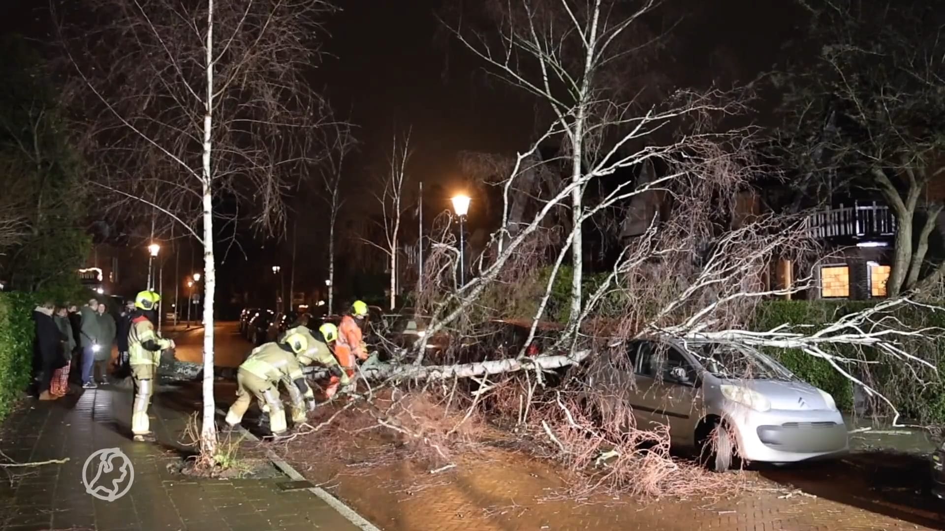 Storm Jocelyn zorgt voor overlast en schade, bomen op auto's gewaaid 