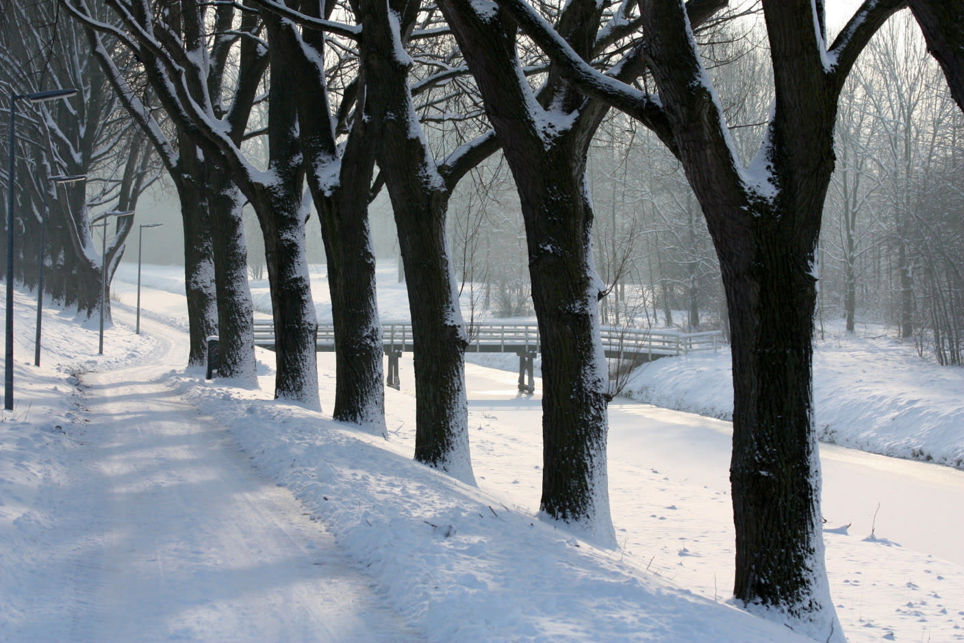 Spanning begint te stijgen: krijgen we wel of geen witte kerst?