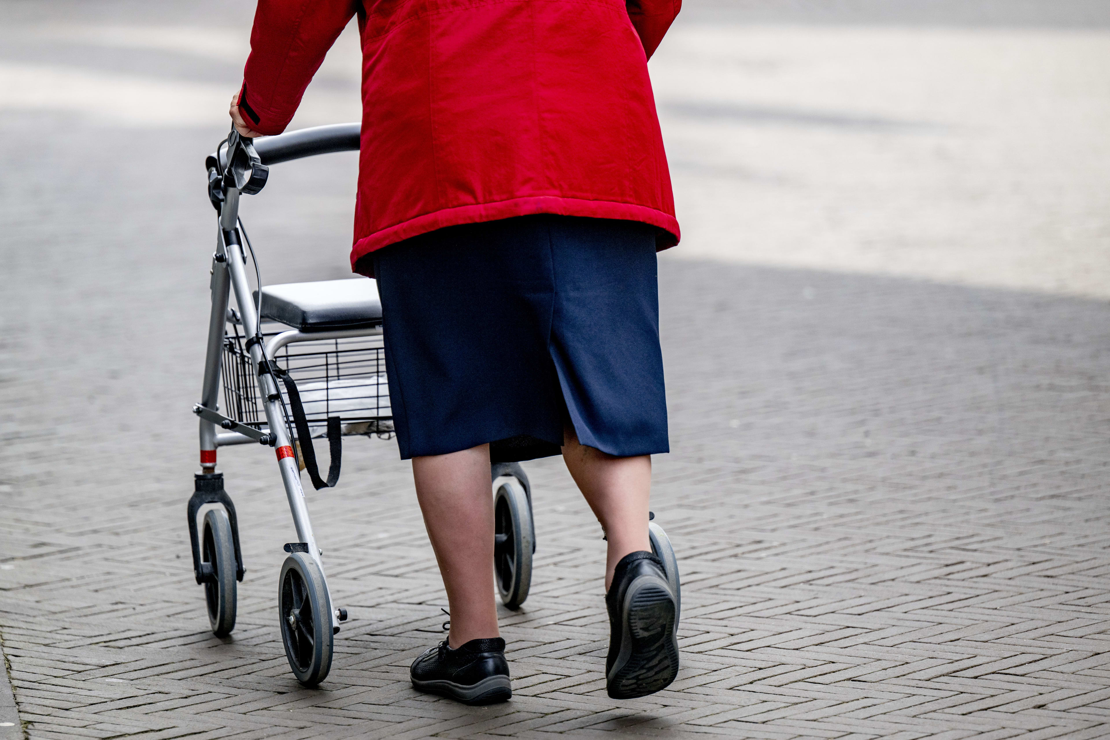 Jongen berooft vrouw (86) met rollator van handtas in Den Helder