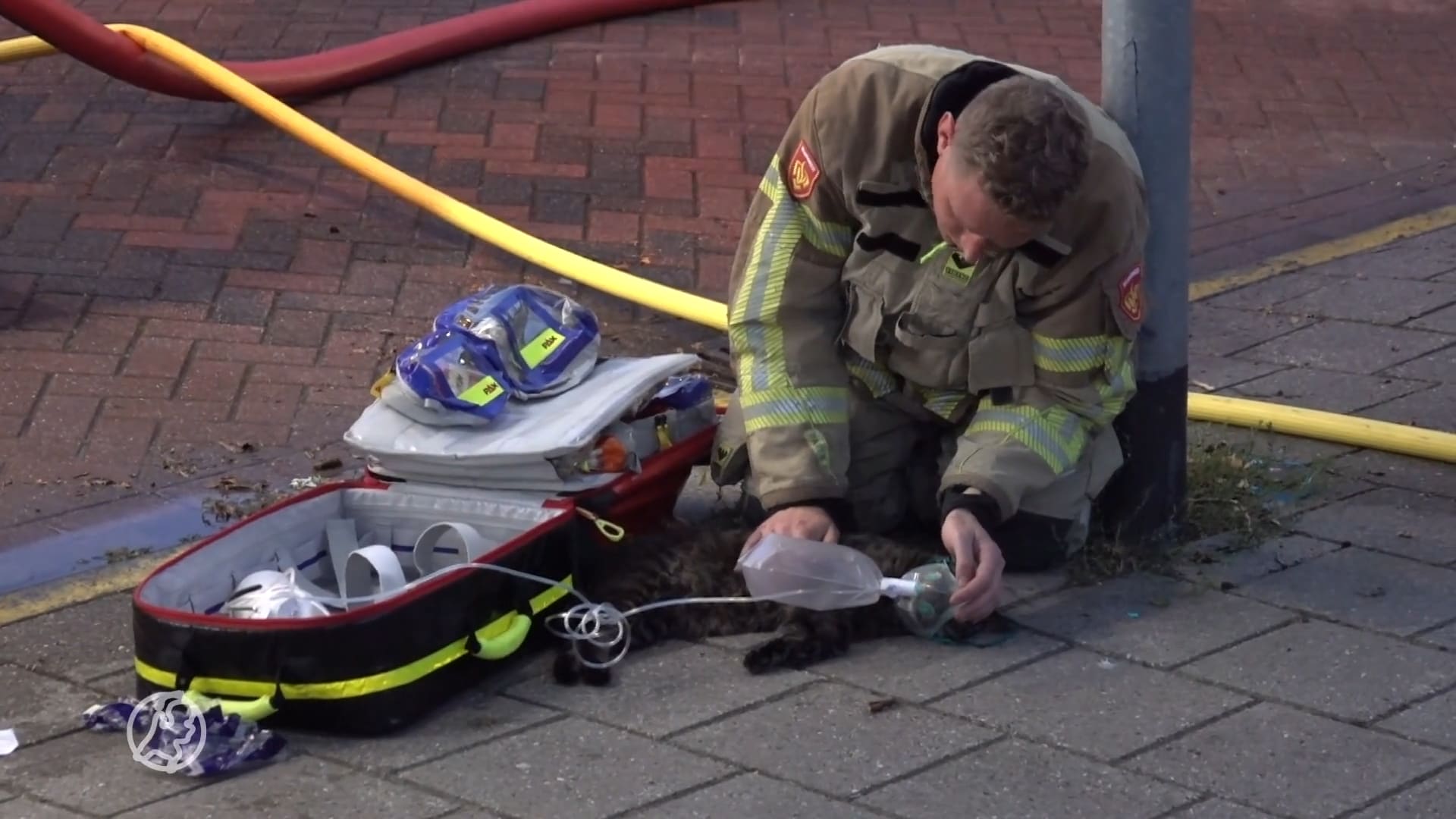 Twee vogels en kat overleden bij woningbrand in Zaandam