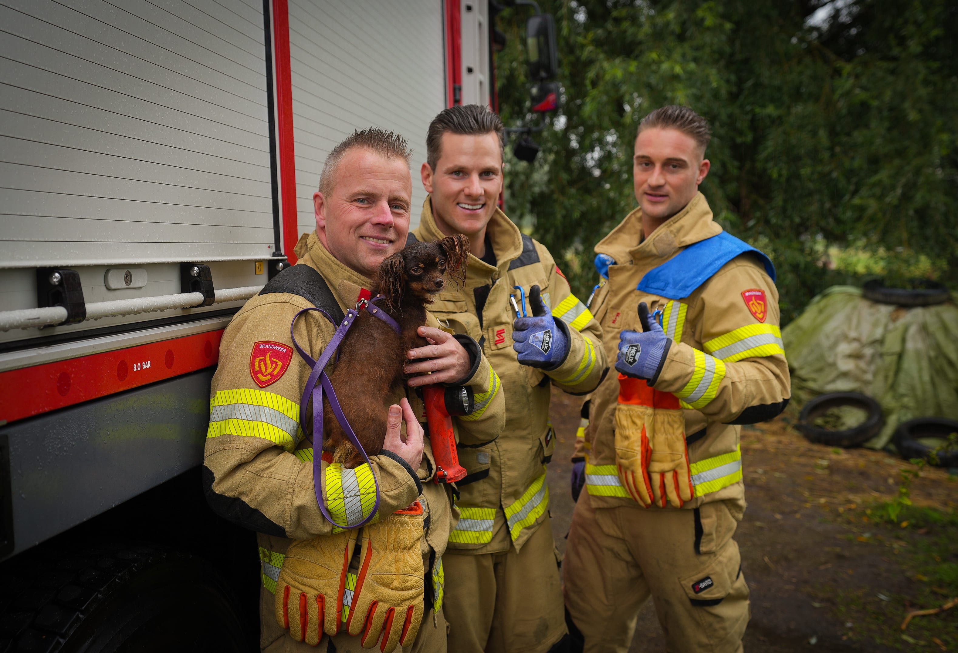 Hondje zit vast onder paardenstal, brandweer kan dier 'met grof geweld' redden