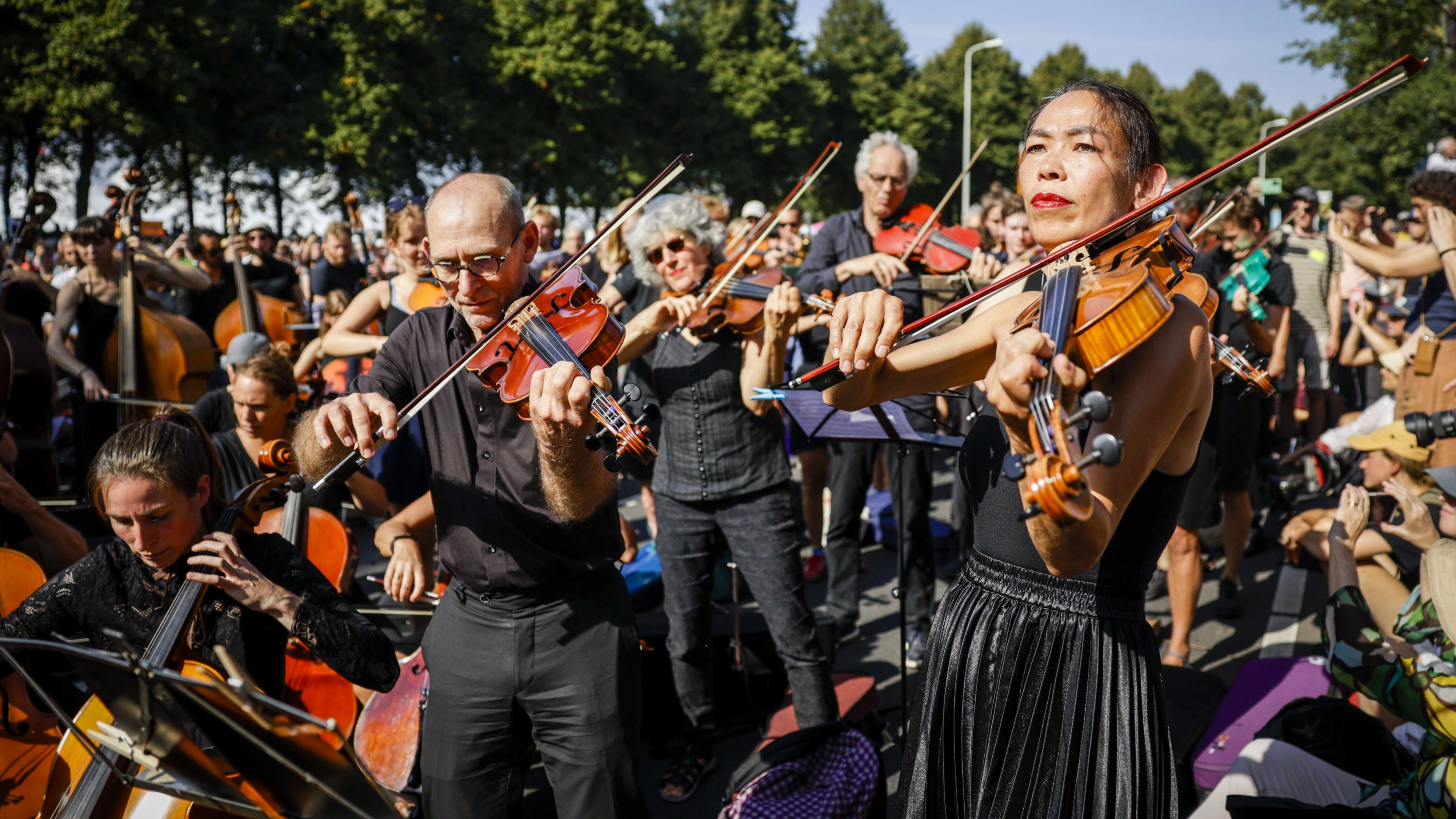 Kunstprijs voor muziekprotest Extinction Rebellion A12: 'Had kalmerend effect'