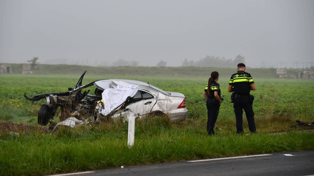 Automobilist (57) overleden bij zware klap tegen boom in Lewedorp