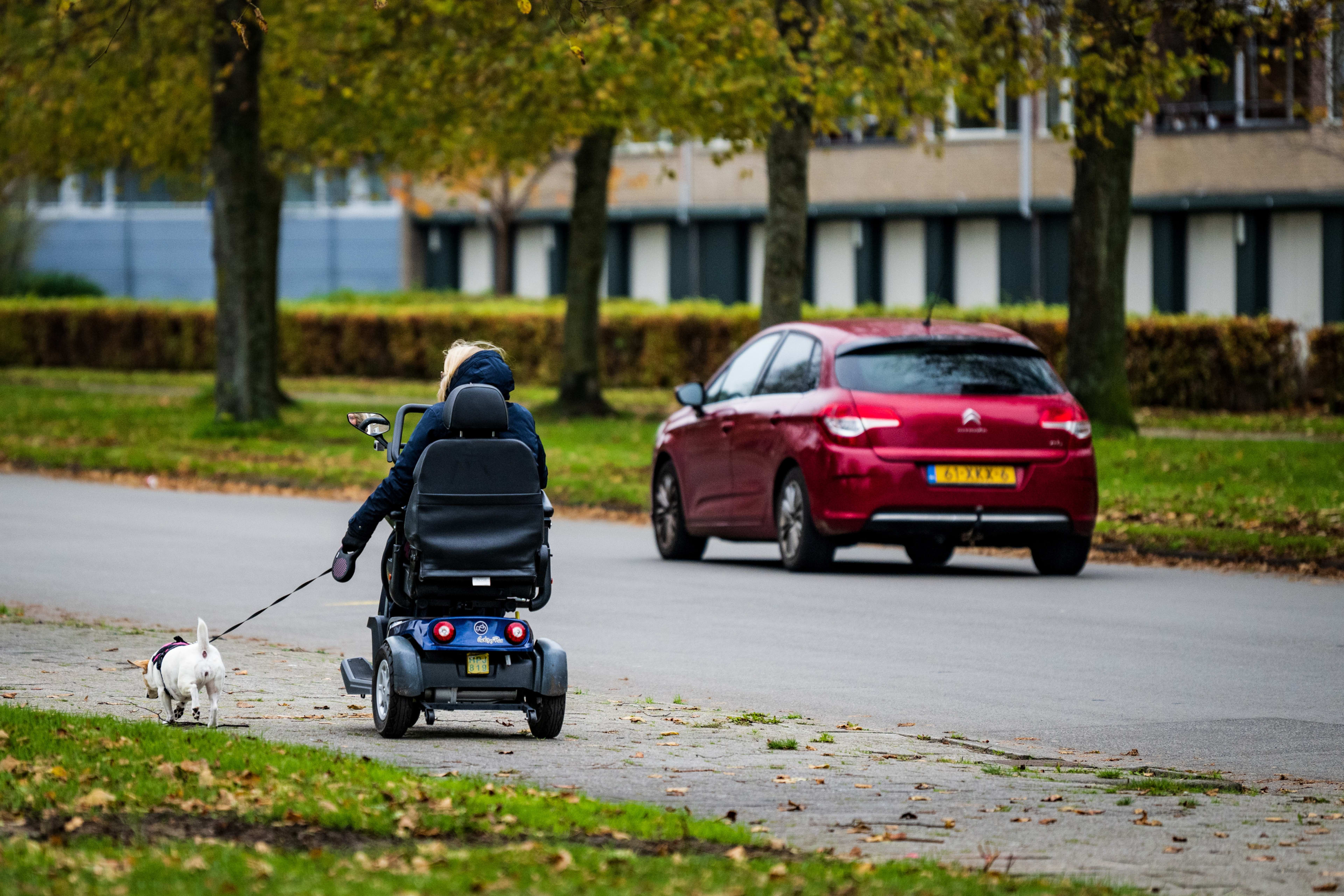 Vrouw (77) neergestoken tijdens uitlaten hondje, twee mannen opgepakt