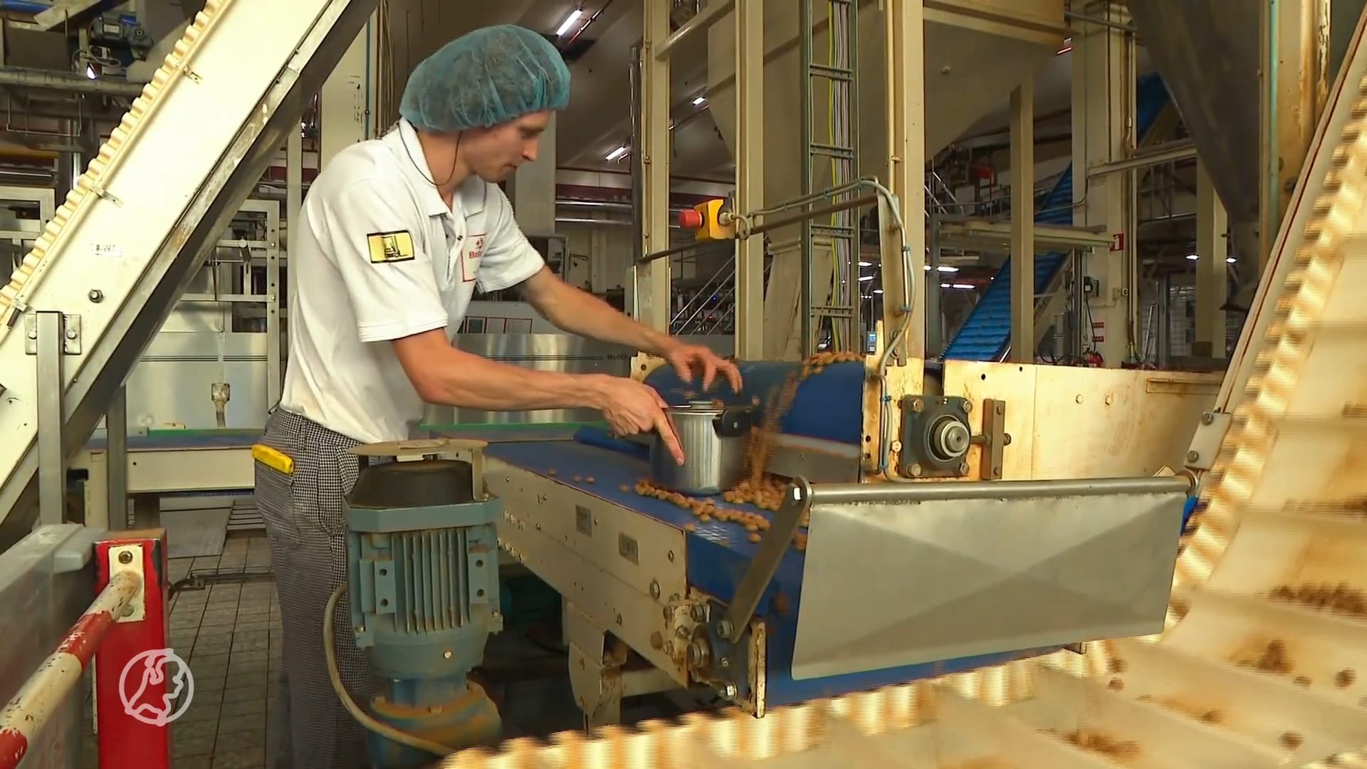 Het is dik 30 graden... en deze fabriek bakt pepernoten