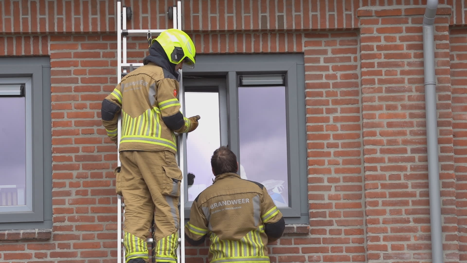 Kat komt vast te zitten in kiepraam woning en overlijdt