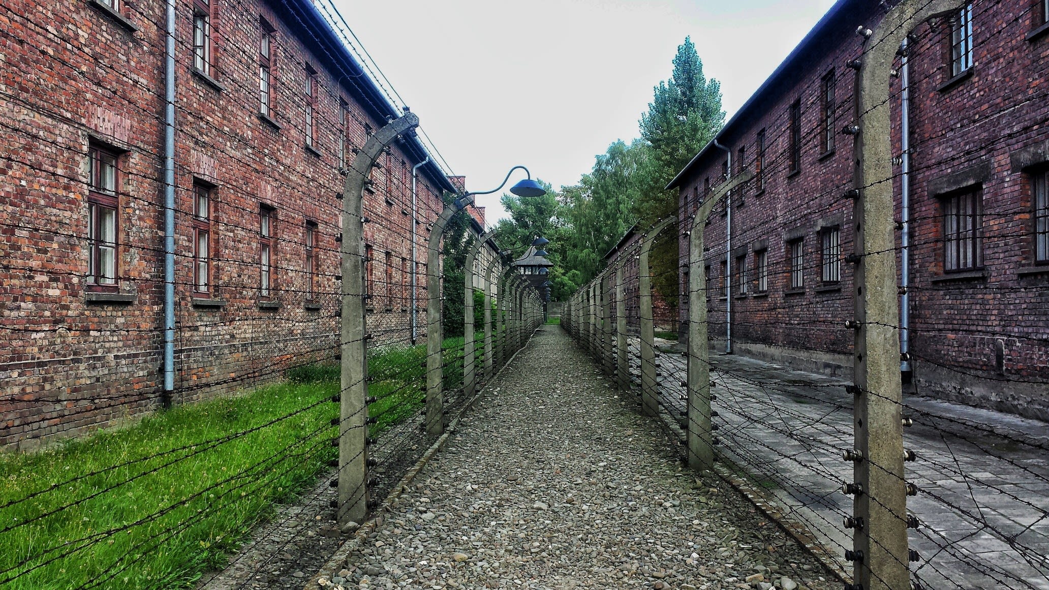Nederlandse (29) opgepakt voor brengen nazigroet in Auschwitz