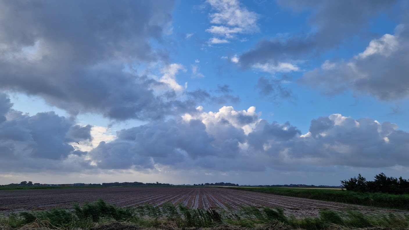 Voorlopig geen extreme hitte in Nederland, aangenaam zomerweer laatste weken van juli