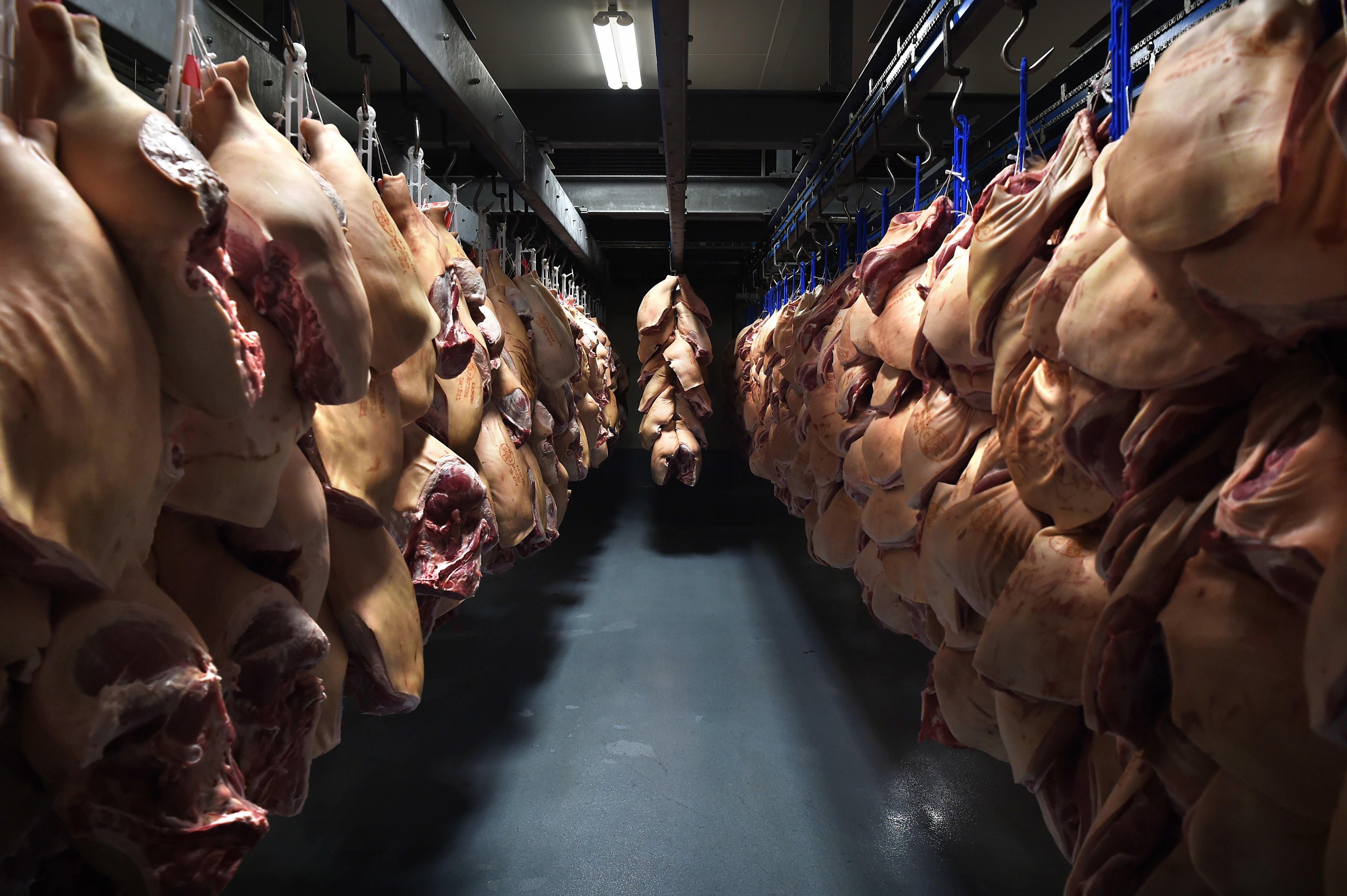 Vrachtwagen verliest duizenden kilo's varkensvlees door gescheurde trailer