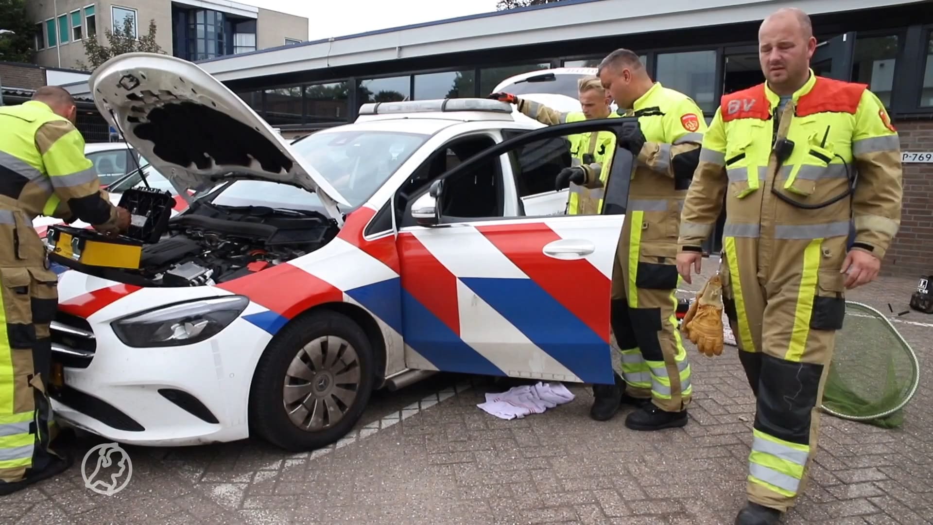 Vrouw neemt kat mee politieauto in, dier ontsnapt en komt vast te zitten