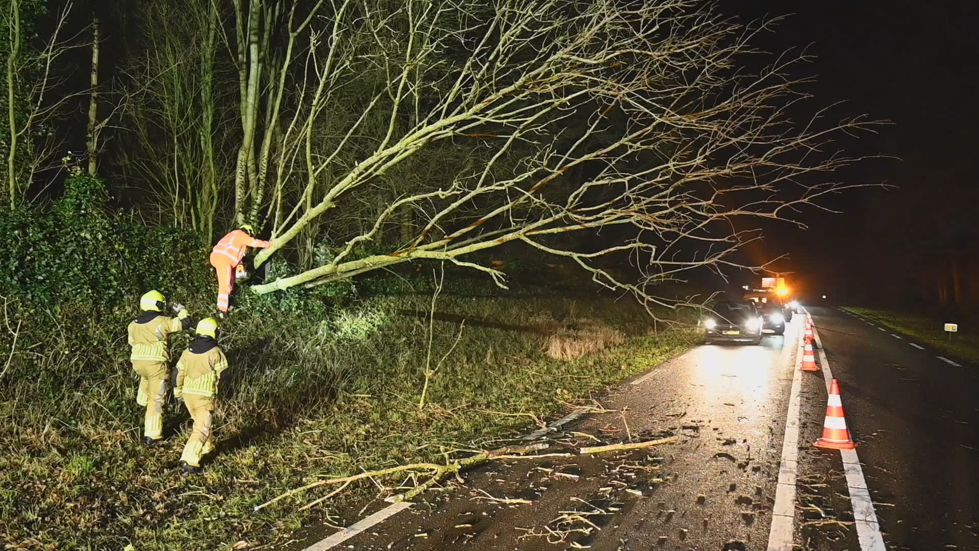 Beschadigde auto's en omgewaaide bomen: storm Henk zorgt voor overlast